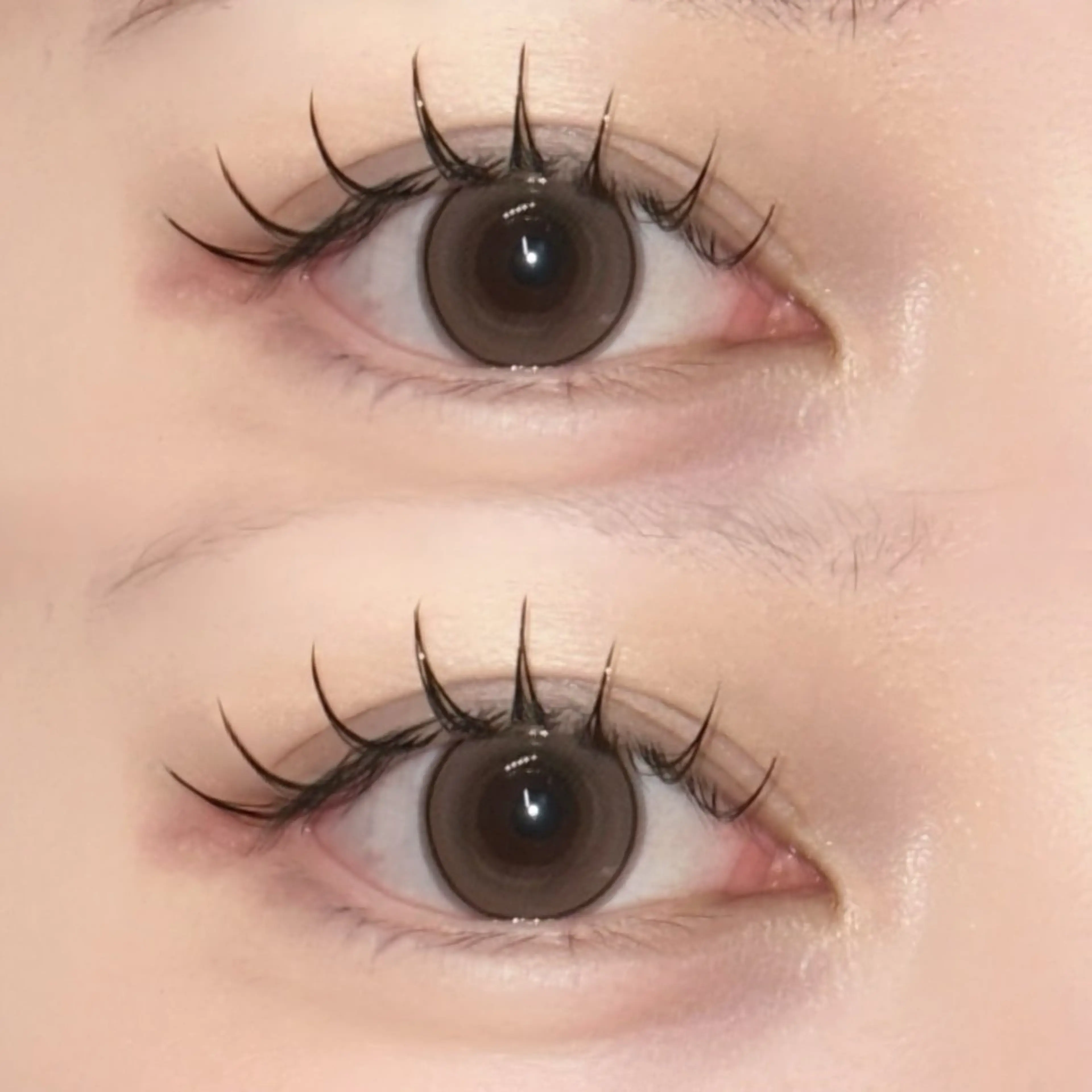 🎀Flat lush 120本🎀（束感コーティング）の写真