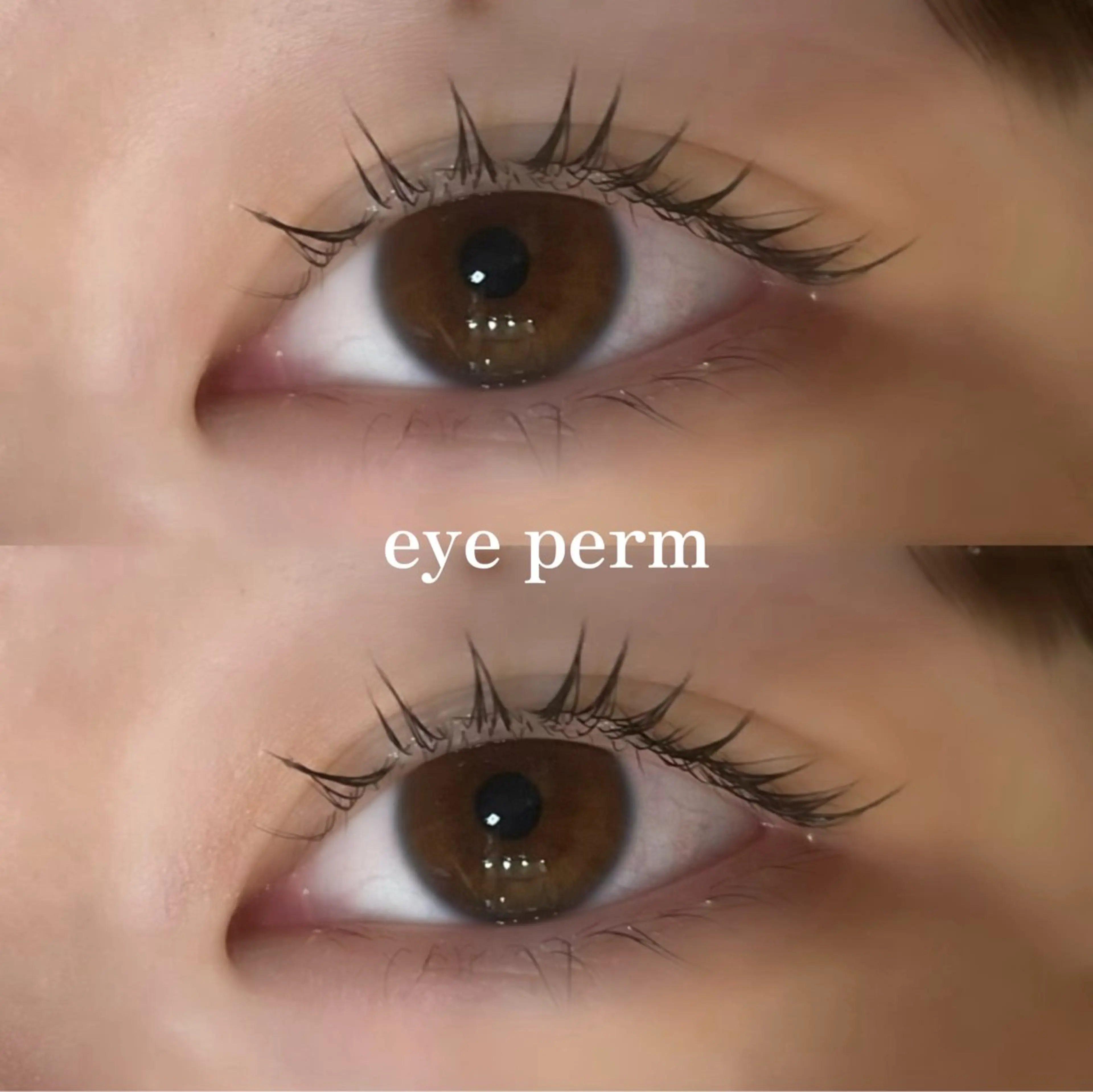 マツエク・マツパ Mon mignon ෆmomokaのマツエク・マツパデザイン