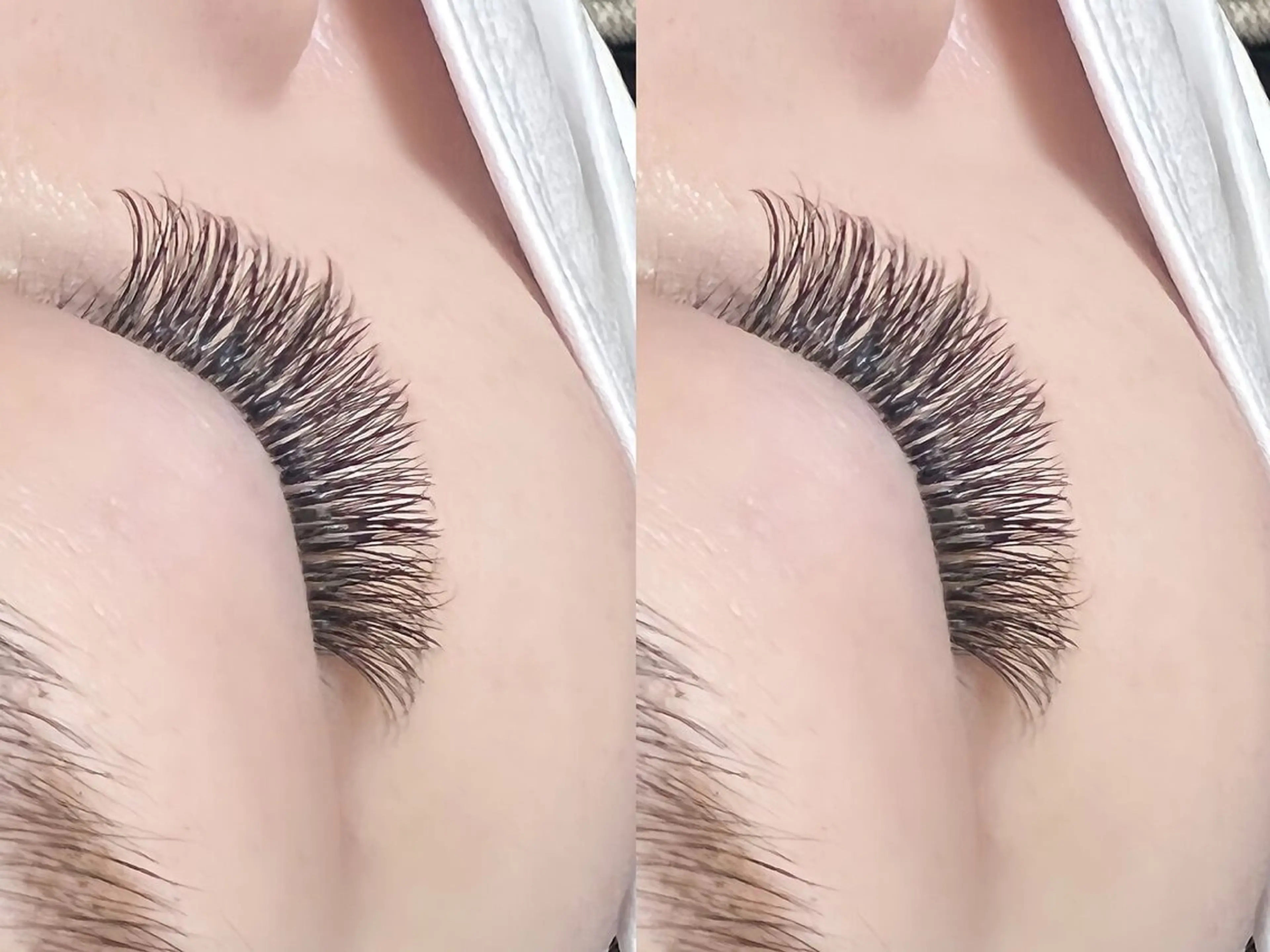 ボリューム300本の写真