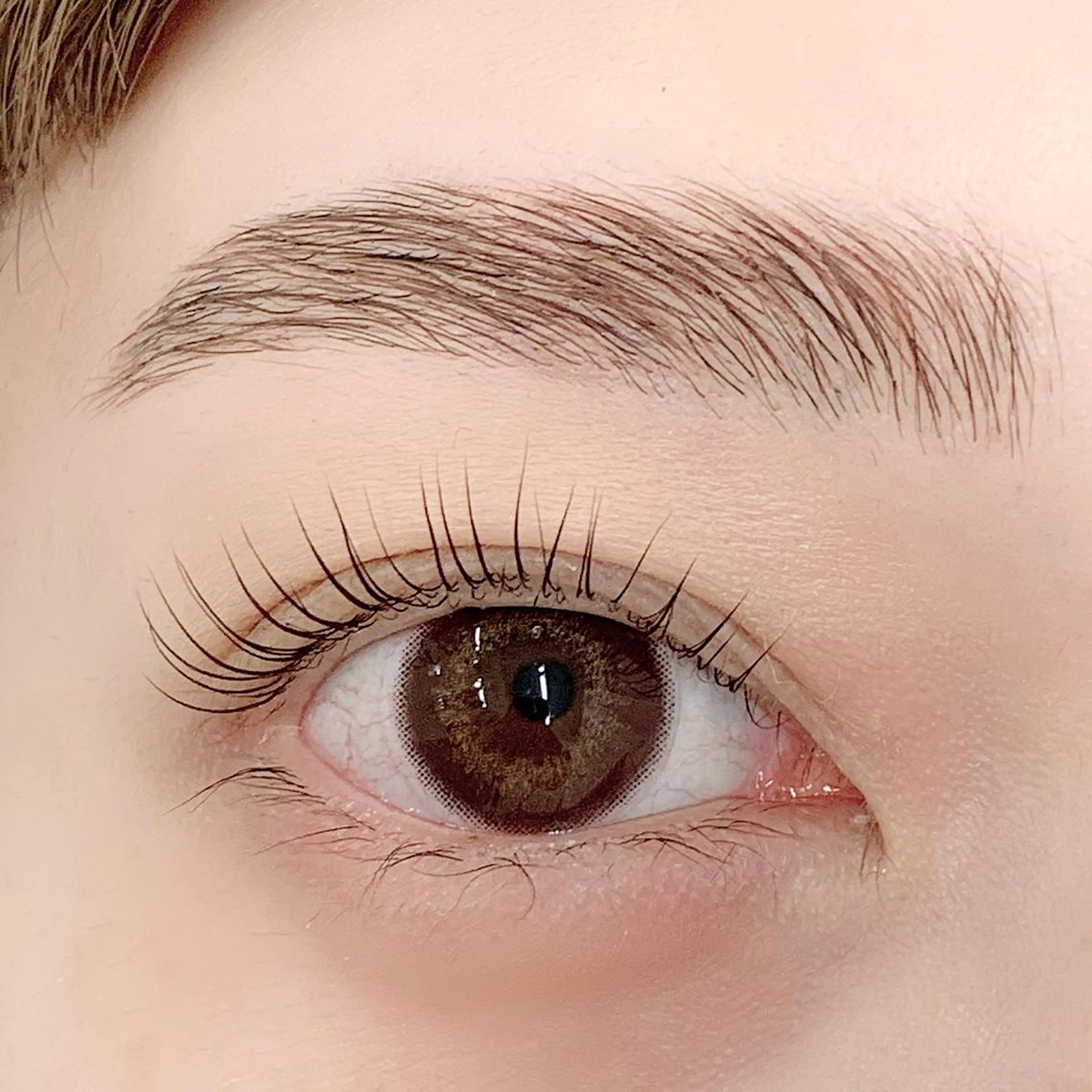 マツエク・マツパ アイブロウ パリジェンヌラッシュリフト まつげパーマ BellFlower Aki(眉・まつげ)のマツエク・マツパデザイン