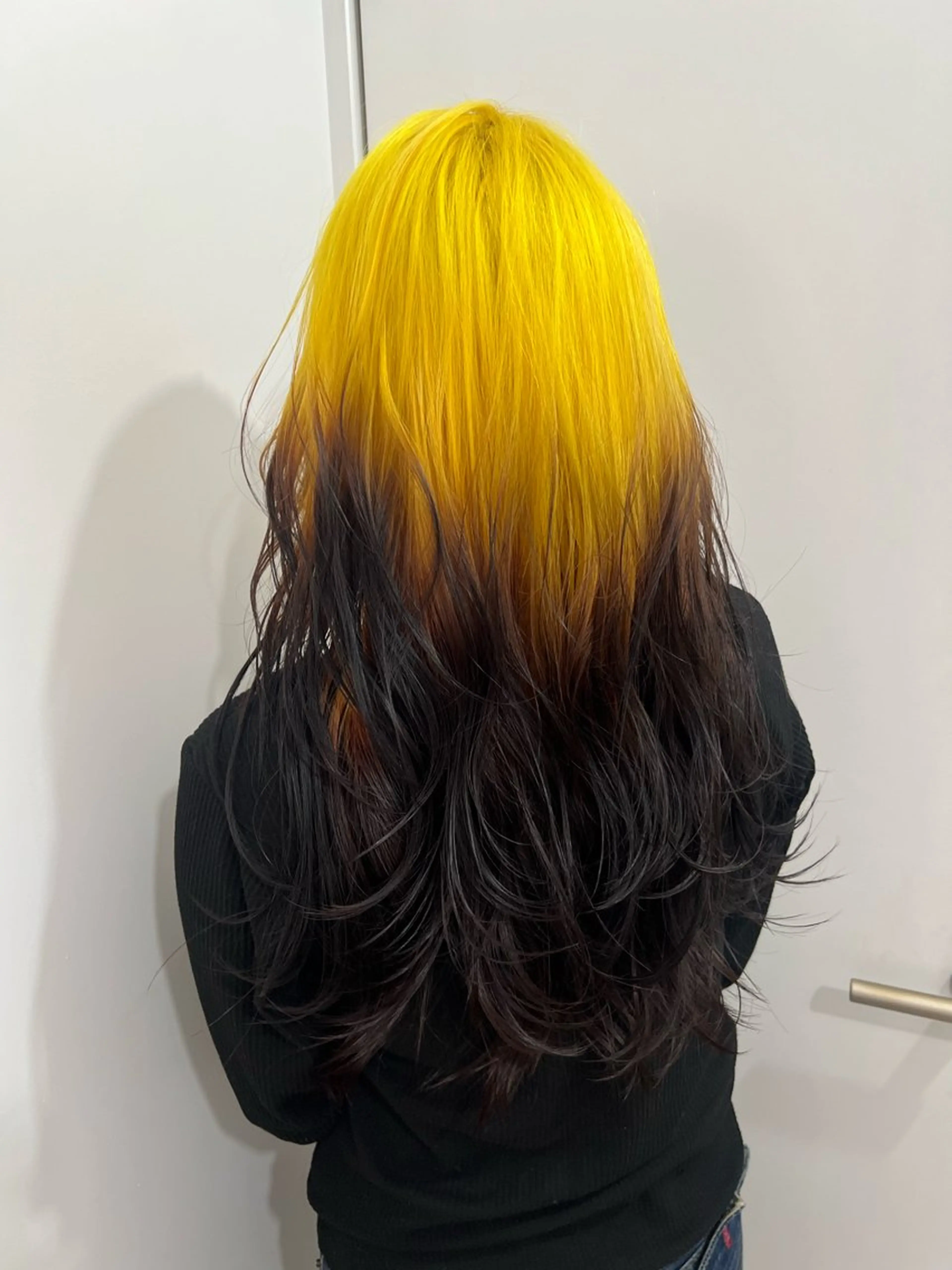ロング ヘアカラー トリートメント 💥ウルフカット デザインあんな💥のヘアスタイル