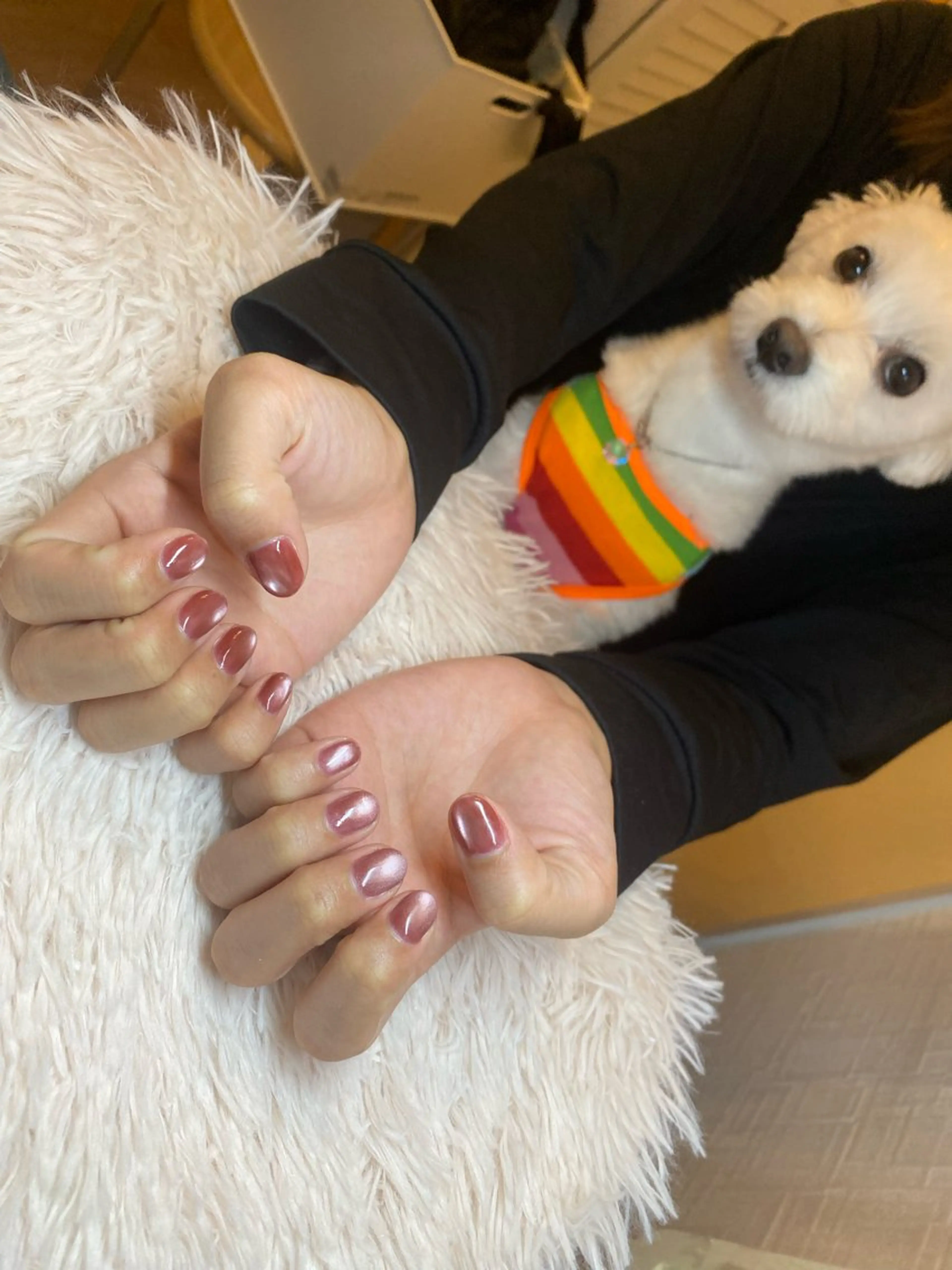 ネイル ハンドネイル Chandra nail&tarotのネイルデザイン