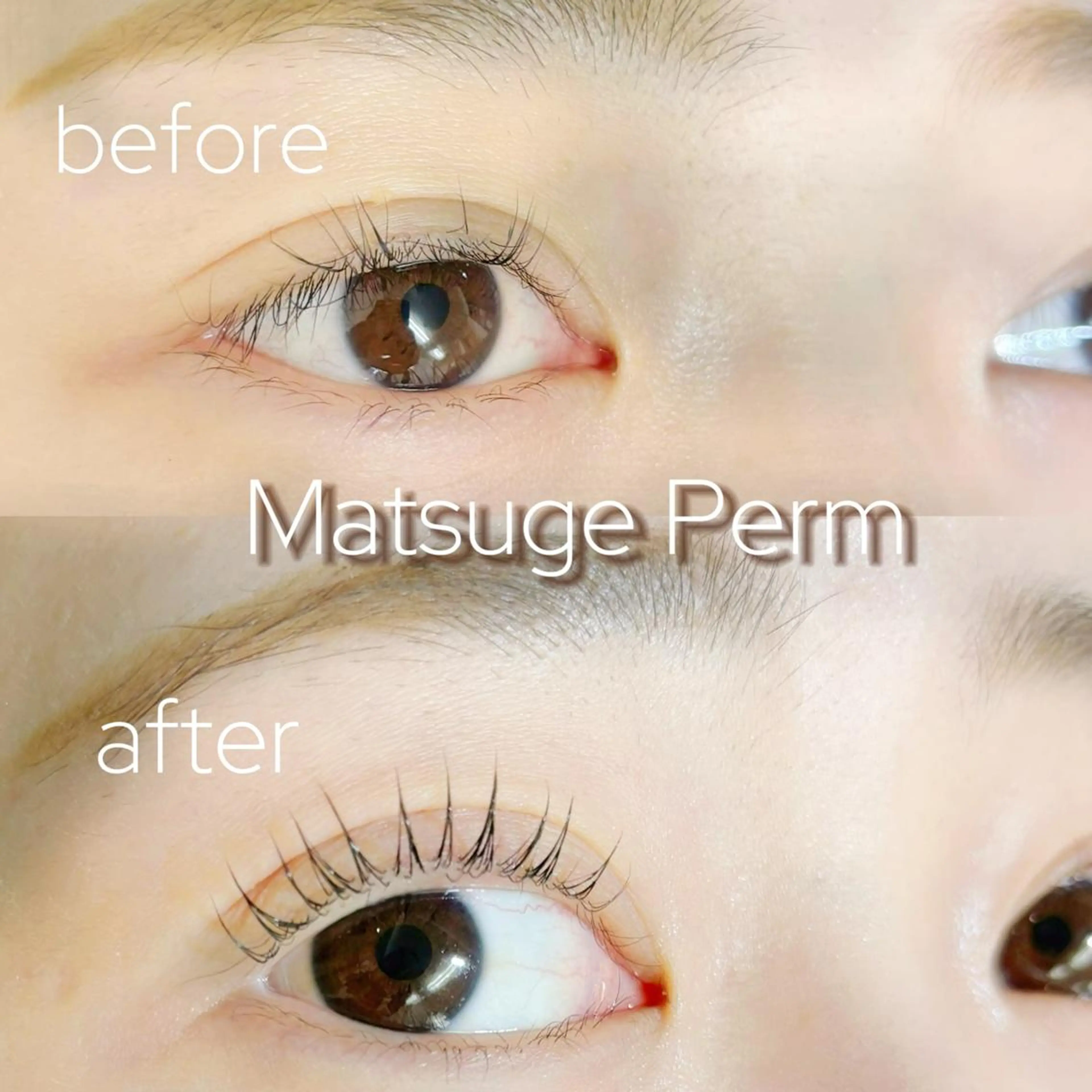 マツエク・マツパ パリジェンヌラッシュリフト 一重×まつ毛パーマ 三茶Eyelist 💭Kyoko🍑ᩚのマツエク・マツパデザイン