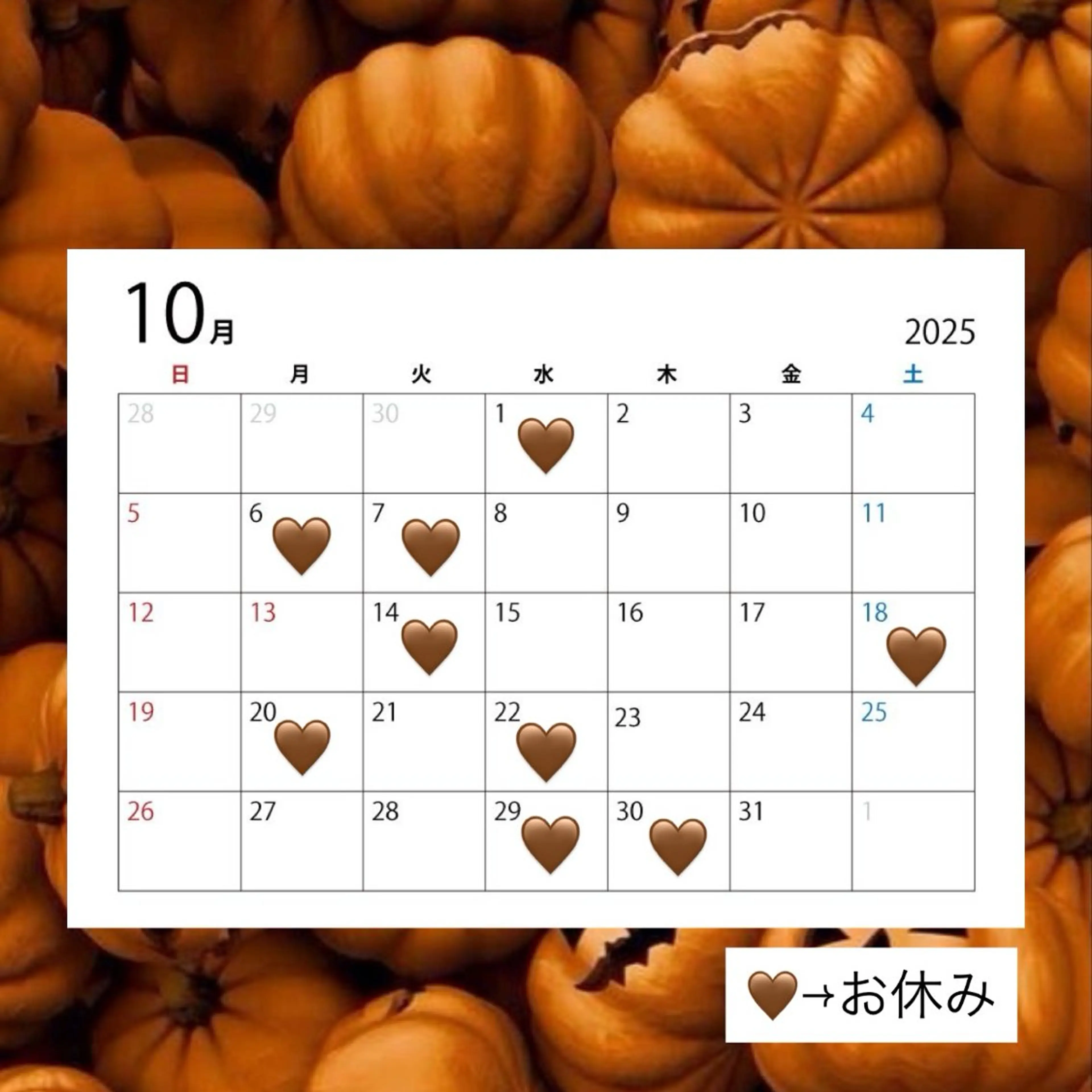 周東 芽依のヘアスタイル