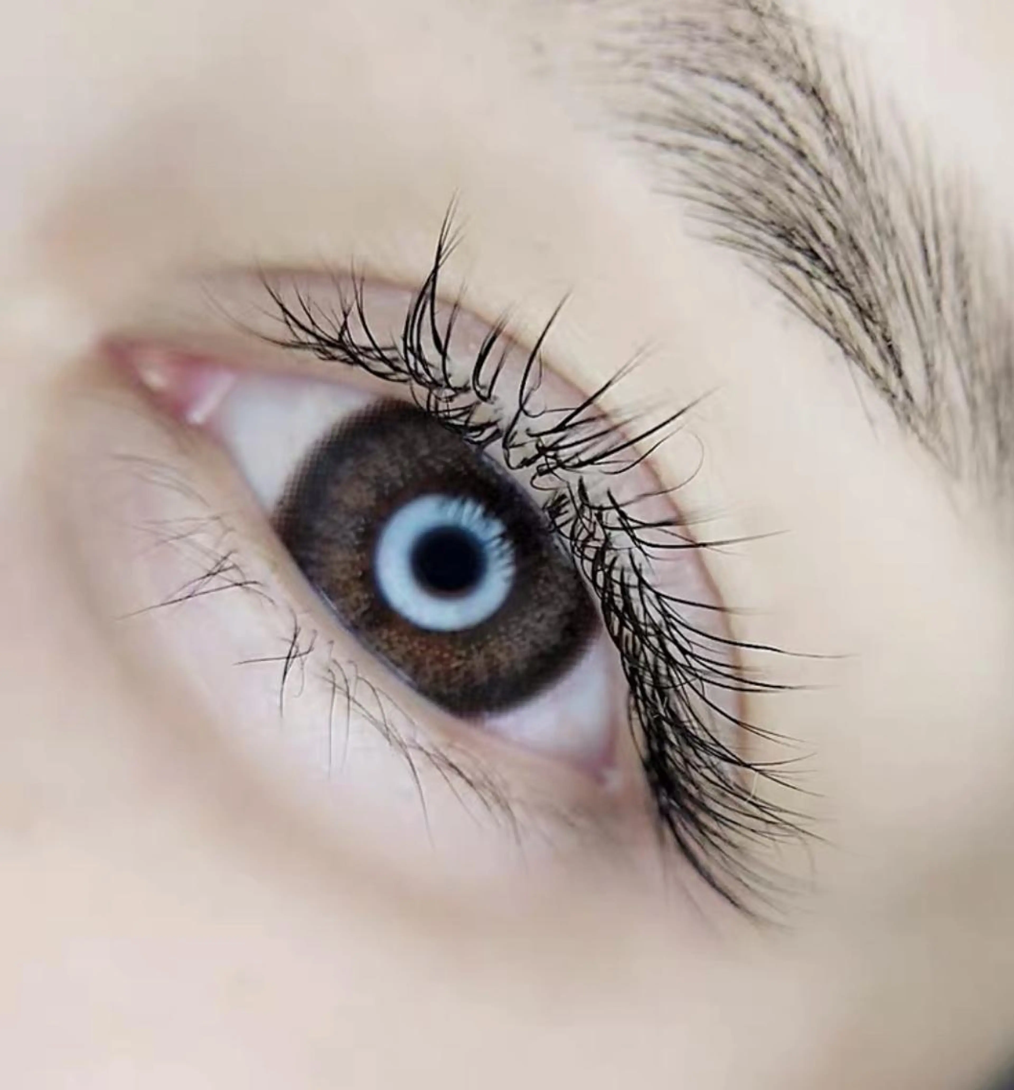 マツエク・マツパ フラットラッシュ Cute B e au t yのマツエク・マツパデザイン