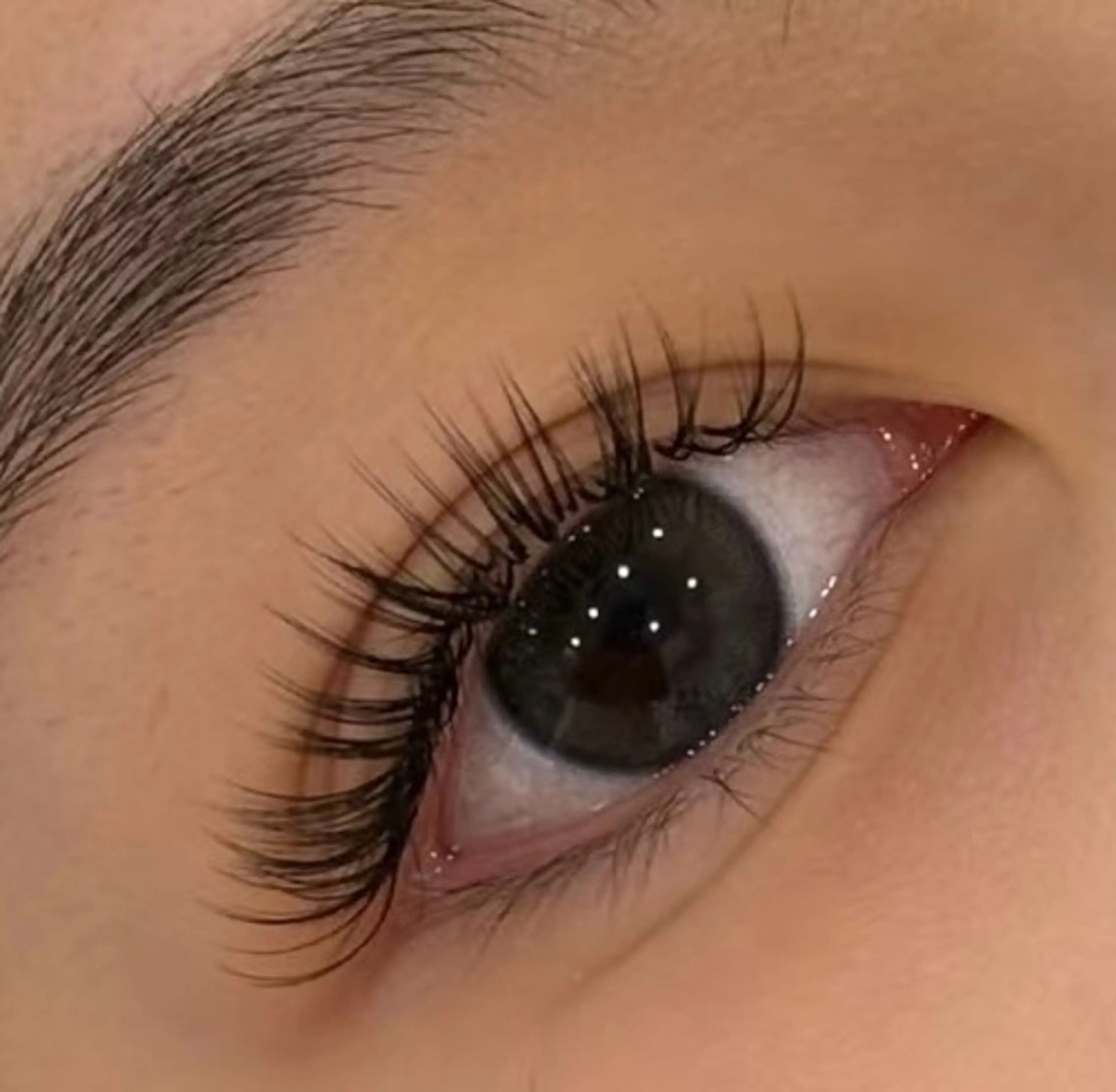フラットマットラッシュ150本の写真