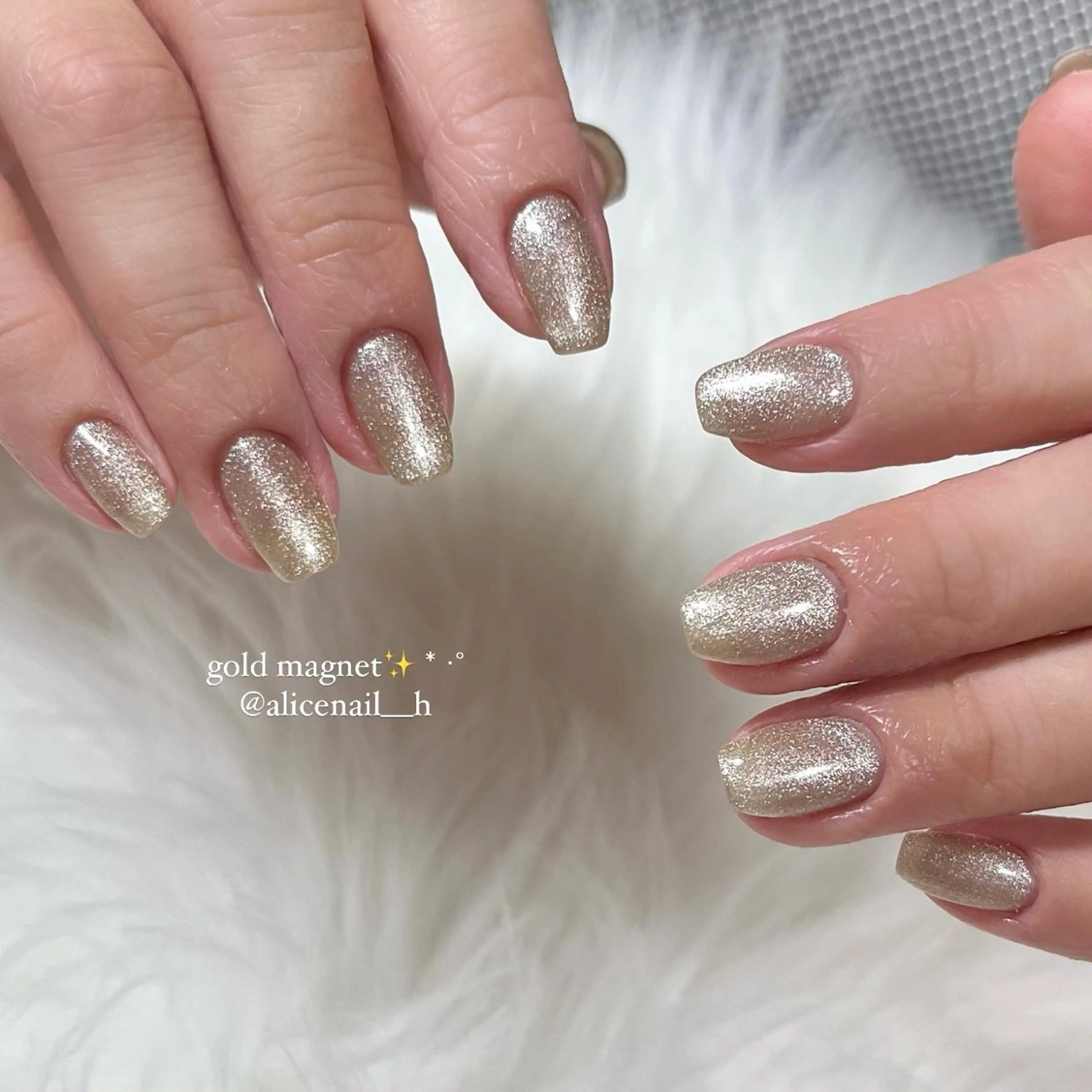 ネイル マグネットネイル private nailsalon Alice所属・Alice / Nanaのネイルデザイン
