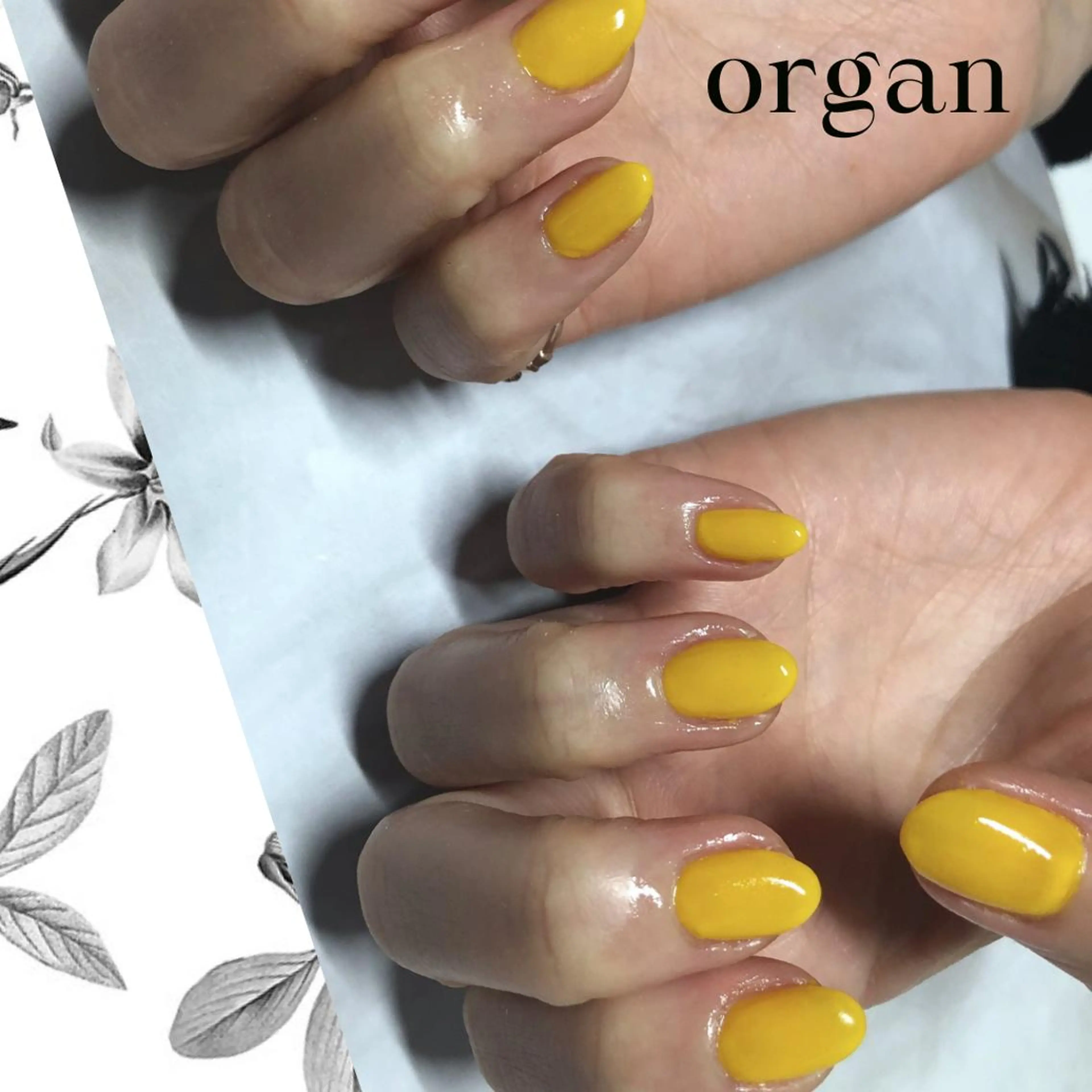 ネイル クリアネイル ワンカラーネイル 黄色 【ＯＲＧＡＮ】 nailのネイルデザイン