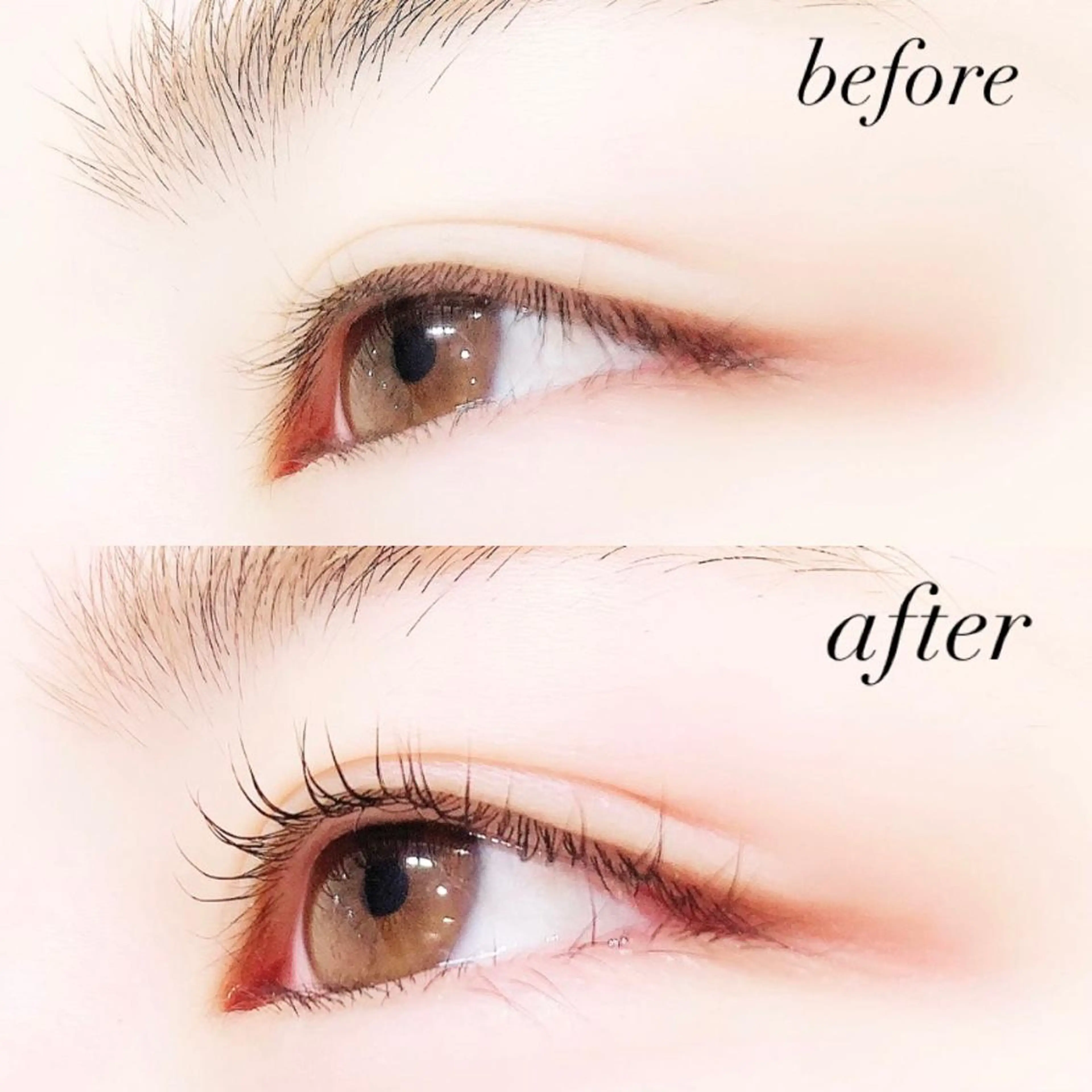 マツエク・マツパ まつげパーマ Lanhr所属・【Lanhr】 🕊aya🕊のマツエク・マツパデザイン