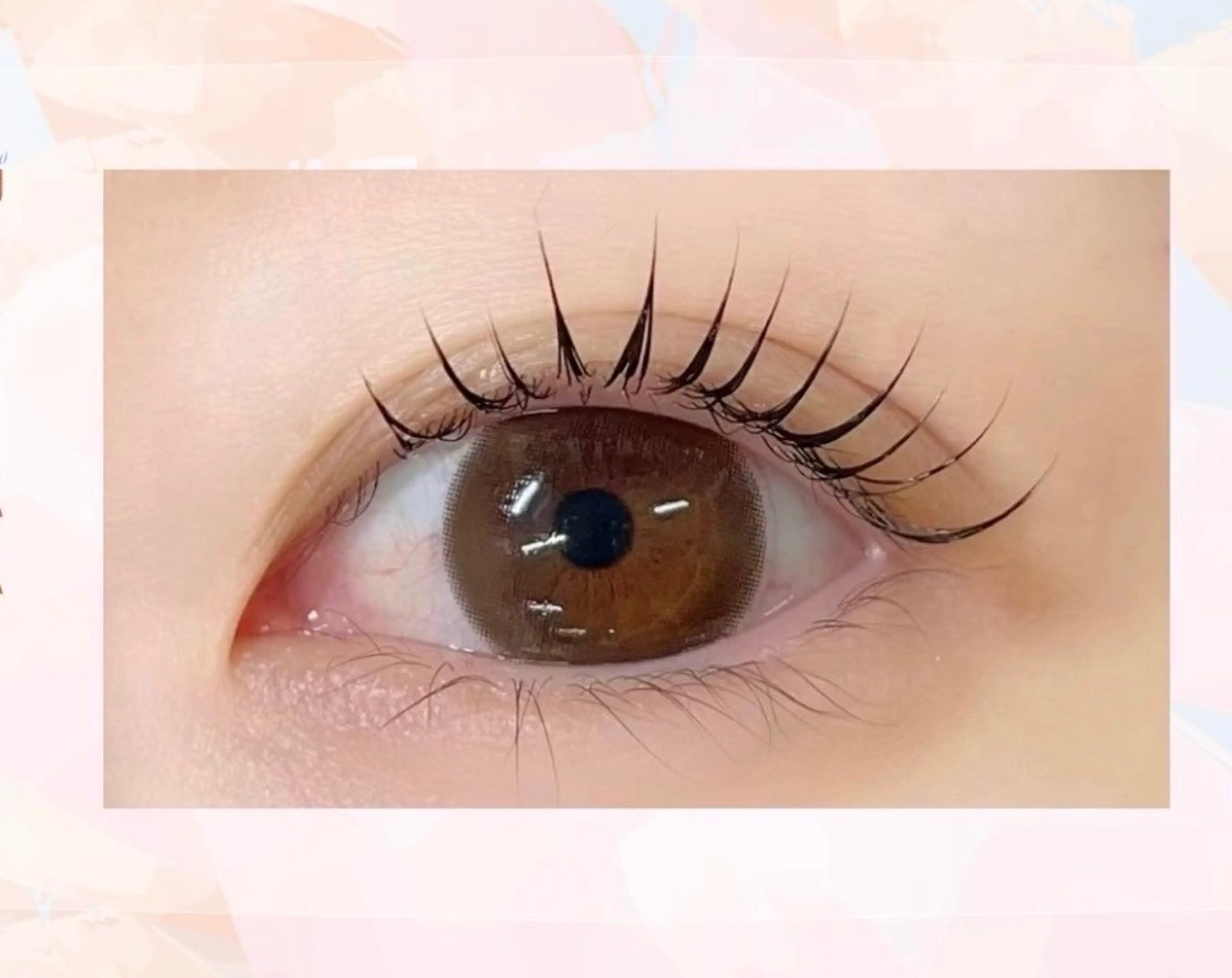 OPEN価格‼️メーテル🦋✨️の写真