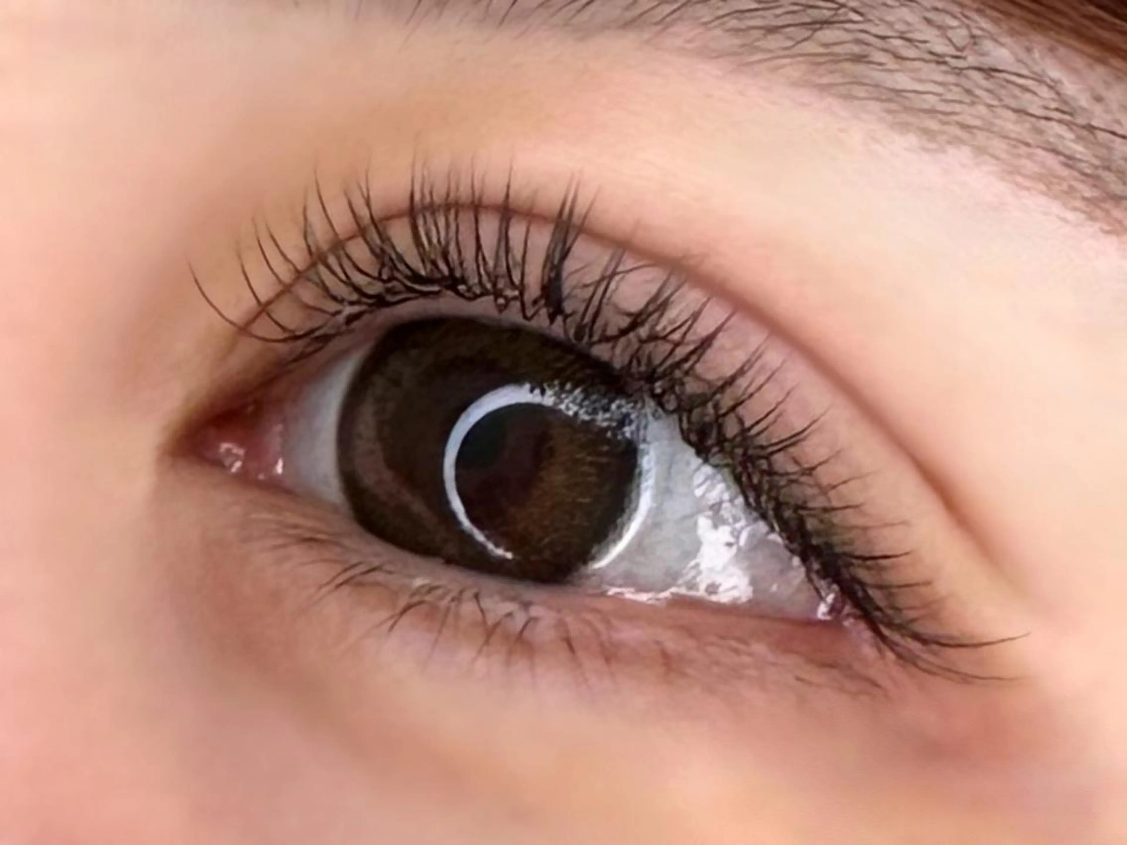 マツエク・マツパ Luana… Noriko🕶のマツエク・マツパデザイン