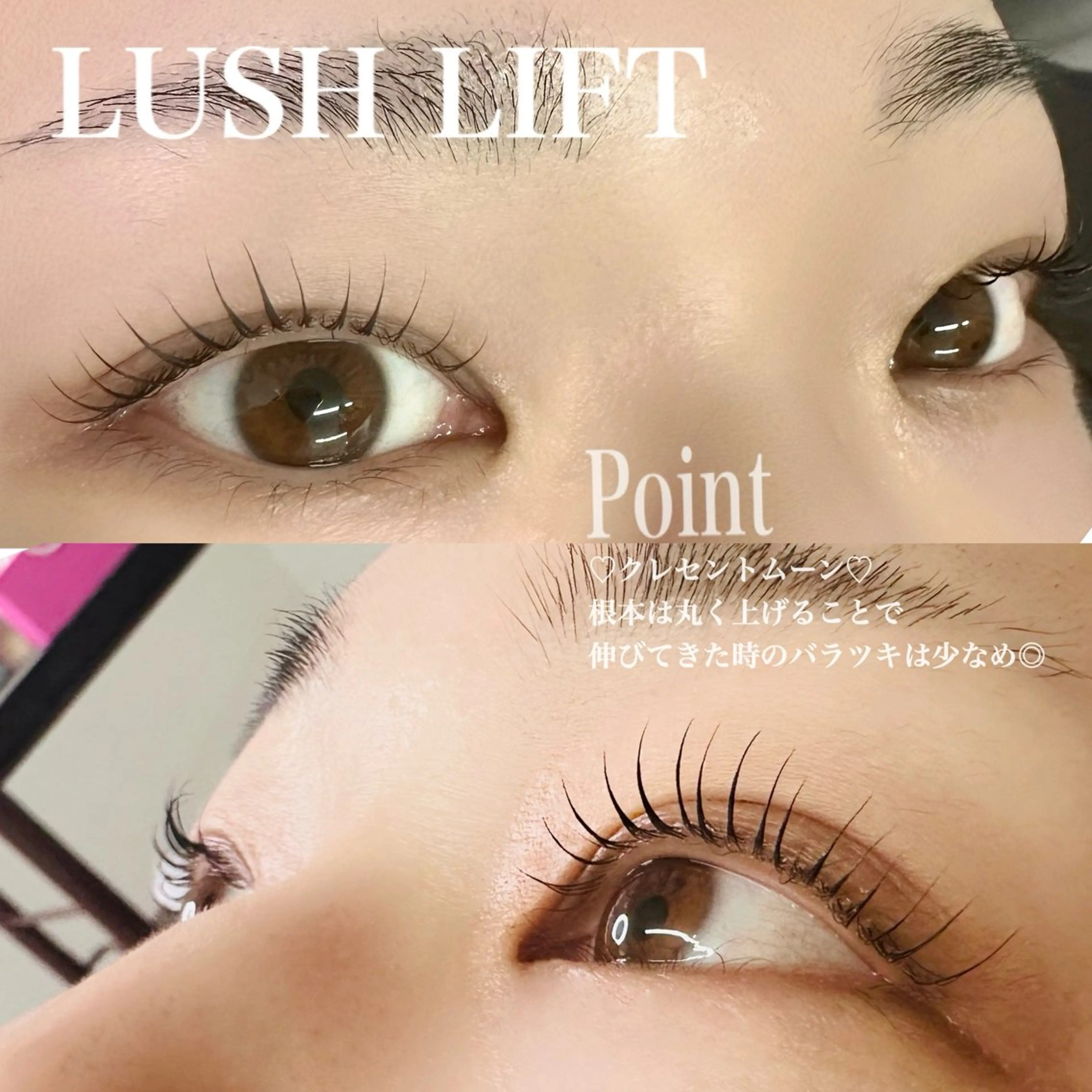 🫧まつ毛パーマorラッシュリフト🫧の写真