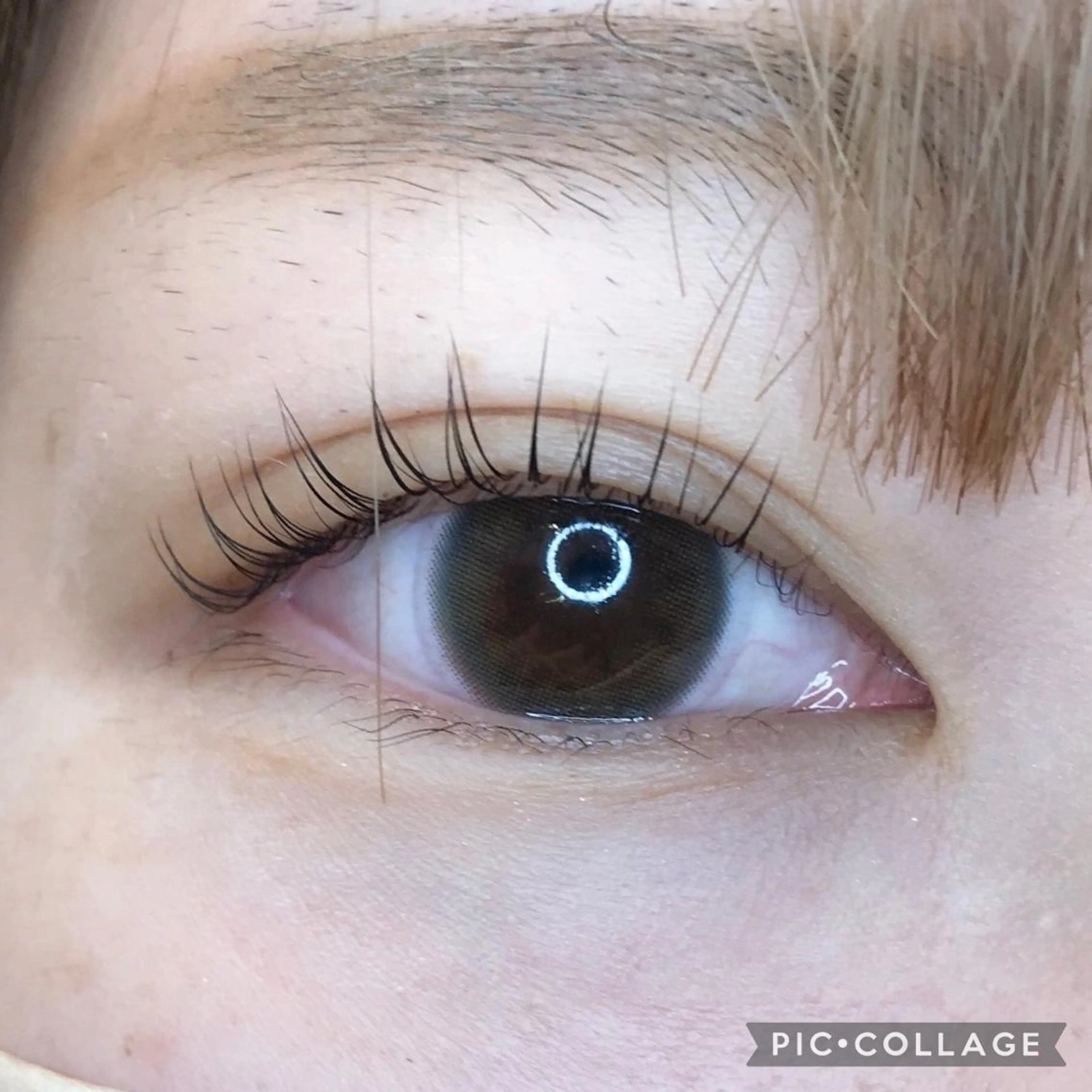 マツエク・マツパ マツパ 《eyelash ｉｉｔｅ》森のマツエク・マツパデザイン