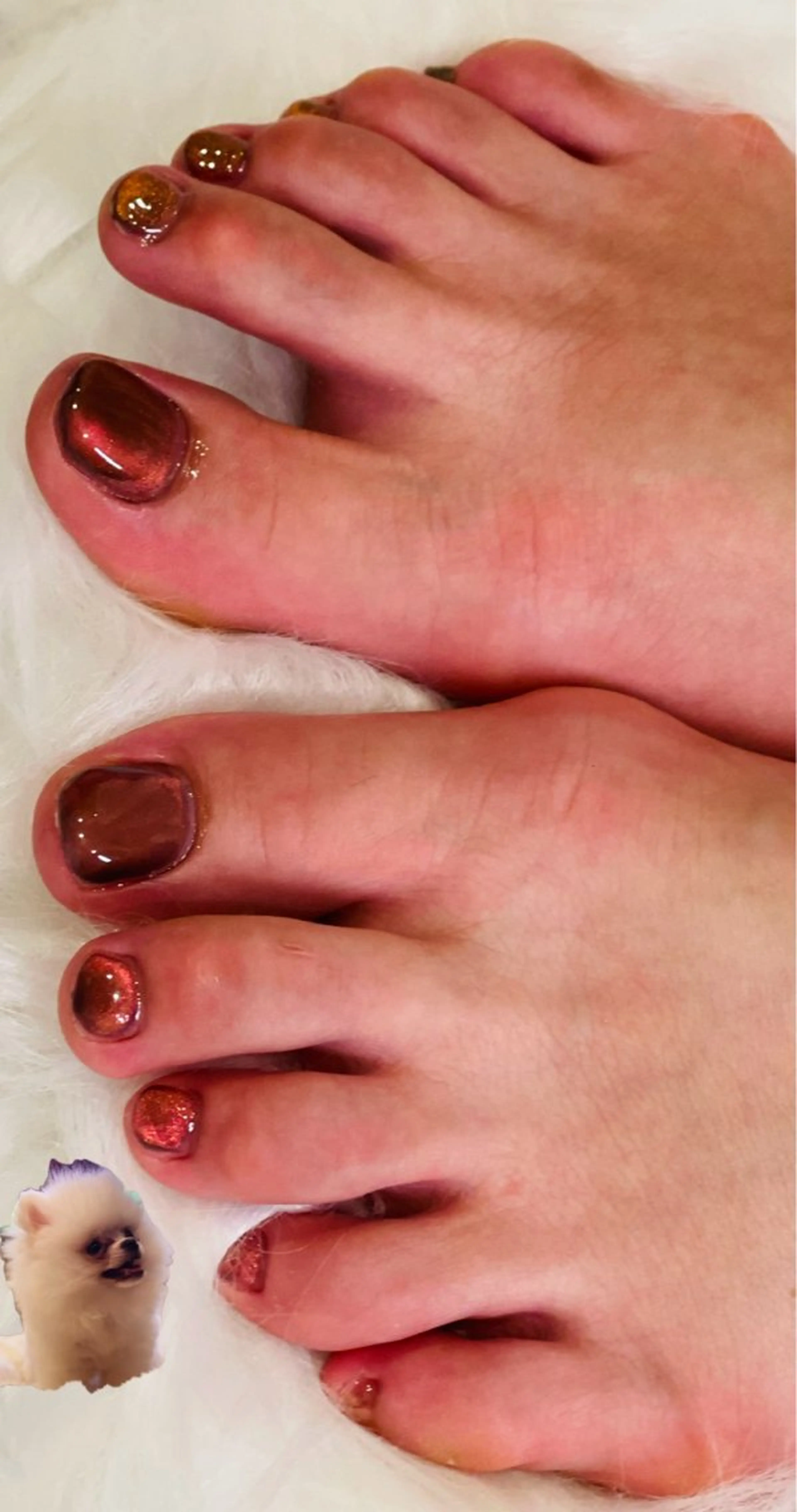 ネイル マグネットネイル ワンカラーネイル フットネイル ハンドケア Amys nail エミのネイルデザイン