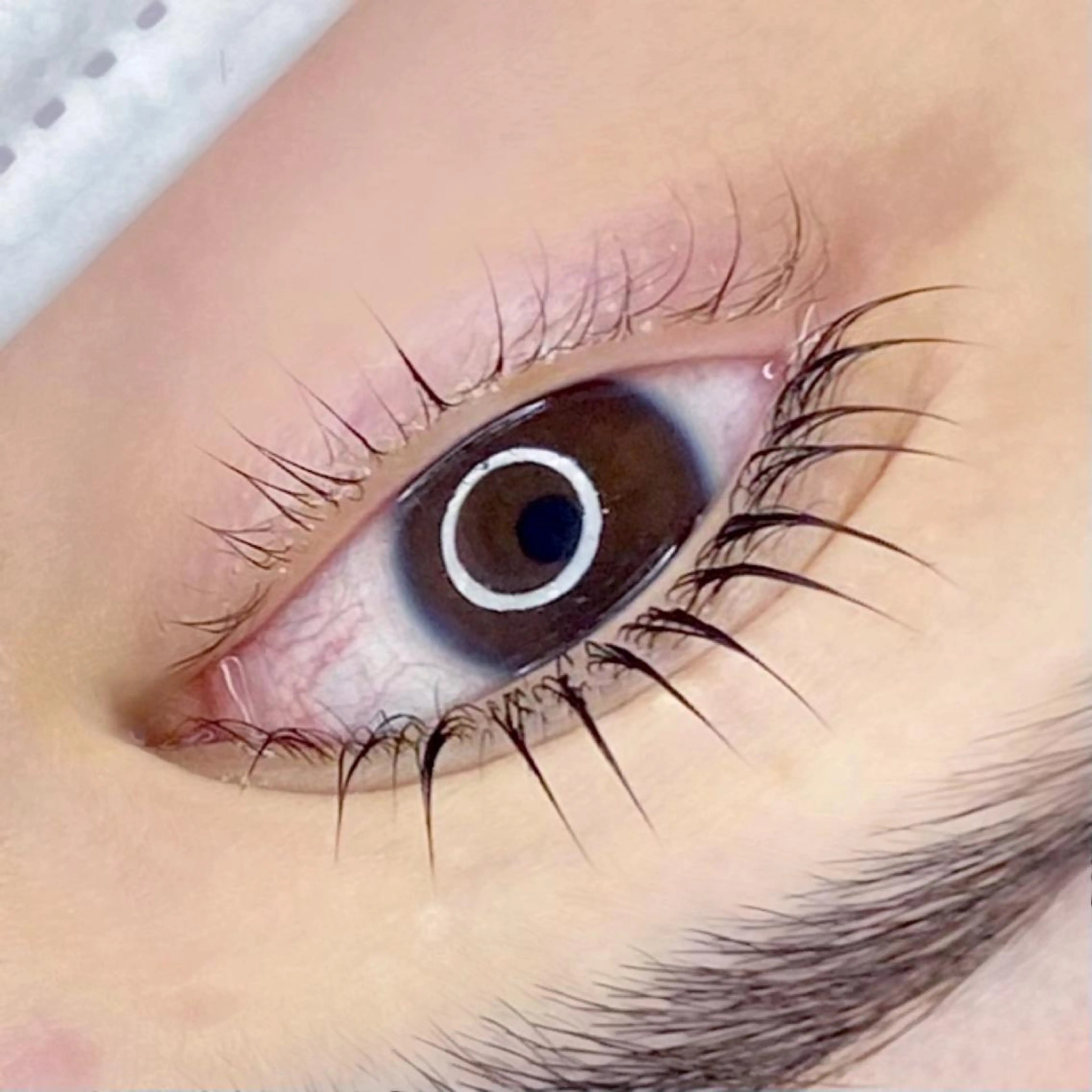 マツエク・マツパ アイブロウ パリジェンヌラッシュリフト BEMOA eyelash&eyebrow所属・BEMOA 藤本 毬のマツエク・マツパデザイン