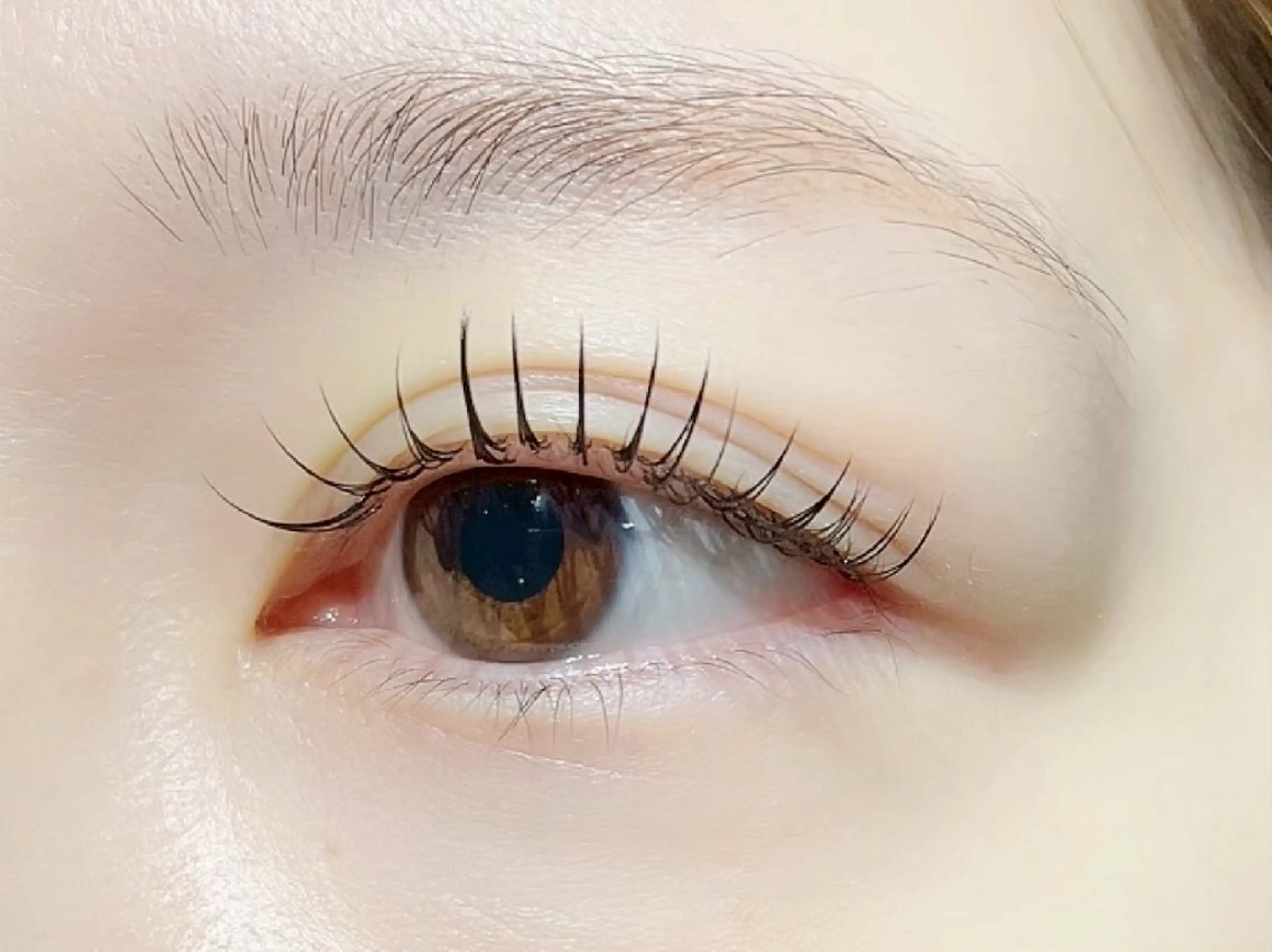 マツエク・マツパ 🧸垢抜け眉🧺 じゅん。の眉毛・アイブロウイメージ