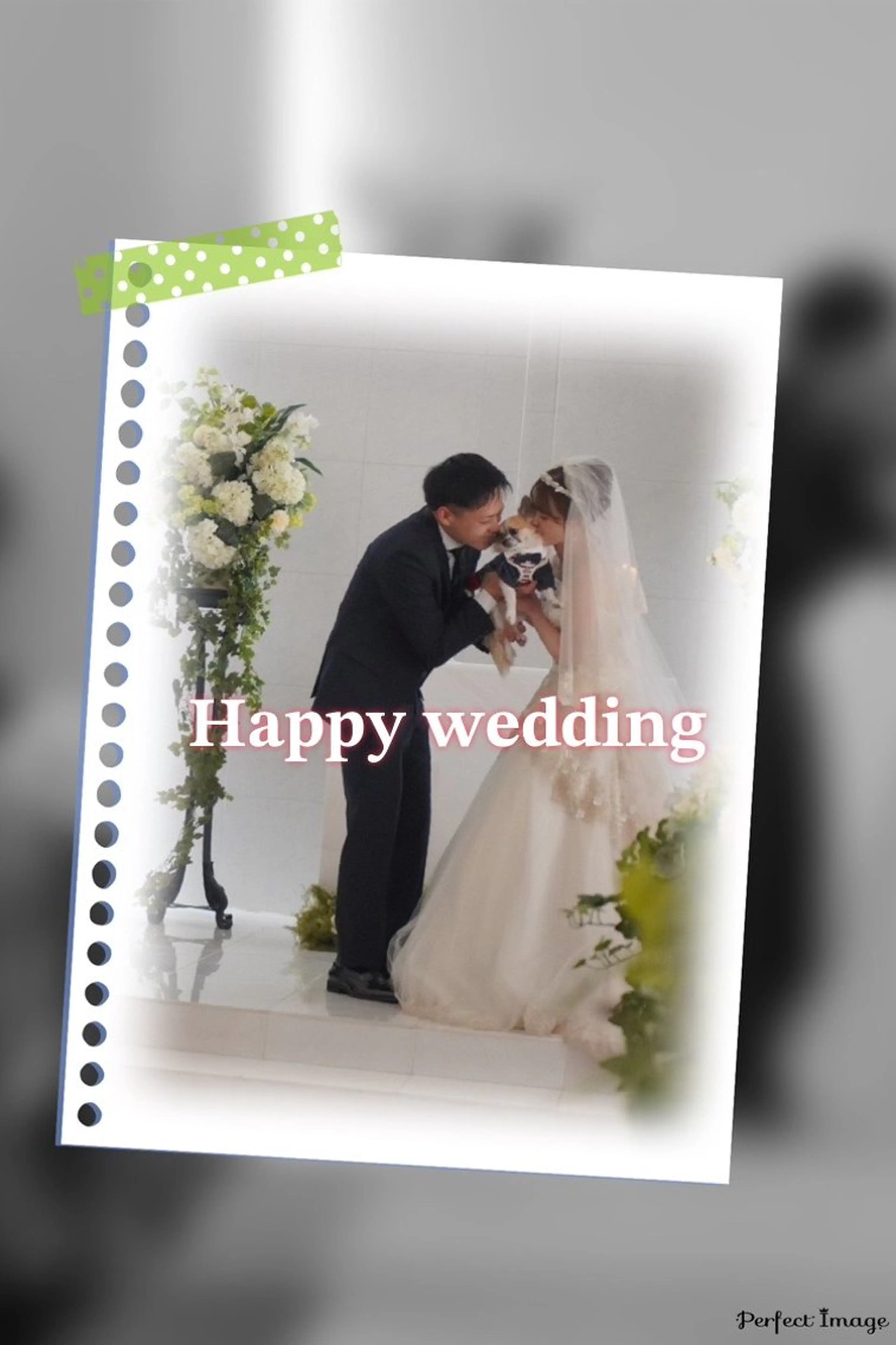 ã¡ããŒãçæ¬ åå³¶ã®ãšã¹ãã»ãªã©ã¯ã€ã¡ãŒãž