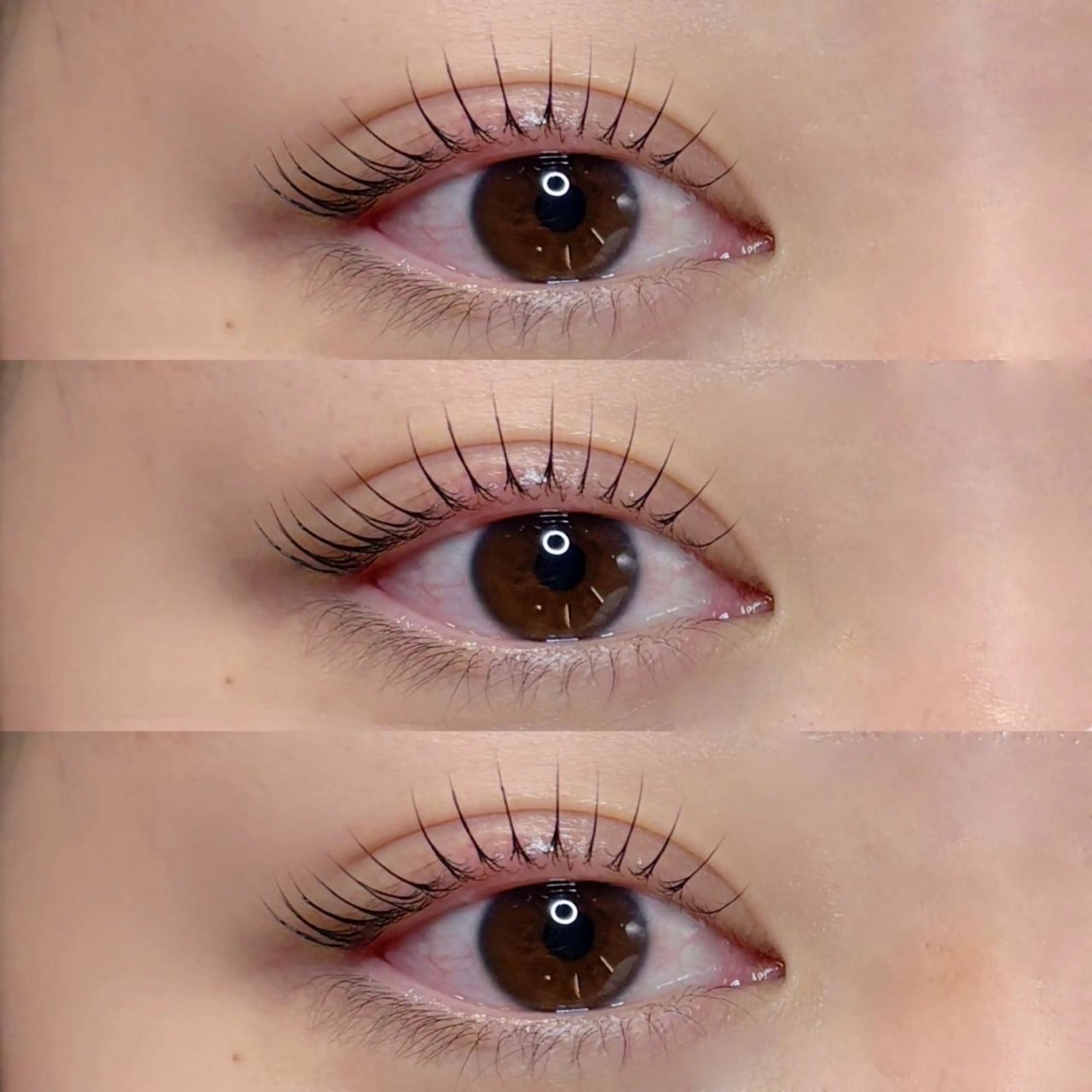 マツエク・マツパ パリジェンヌラッシュリフト seReno eyebrow&eyelash横浜店所属・🍑seReno Kano🍑の眉毛・アイブロウイメージ