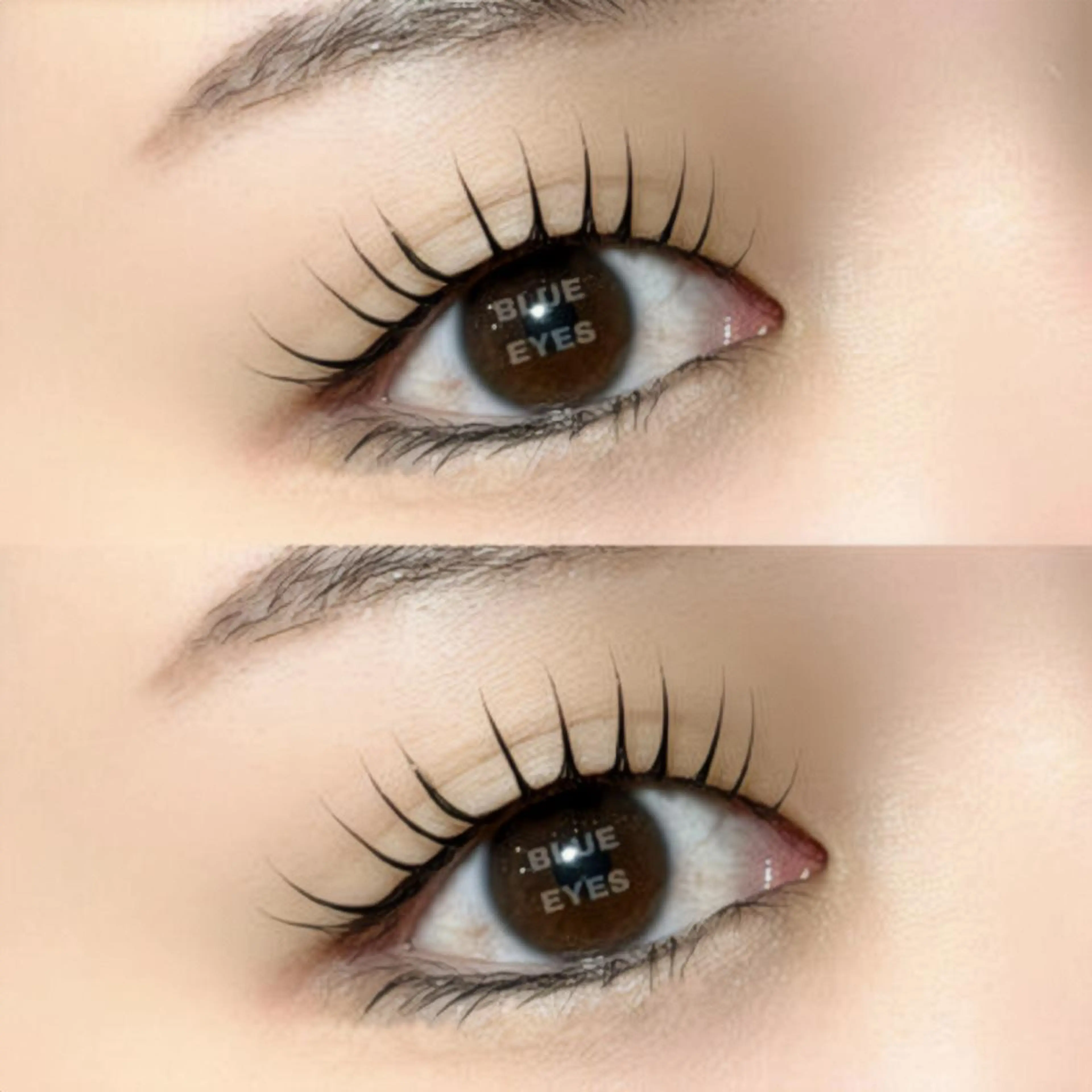 マツエク・マツパ パリジェンヌラッシュリフト マツパ 🦋表参道/原宿 🦋Chibaの眉毛・アイブロウイメージ