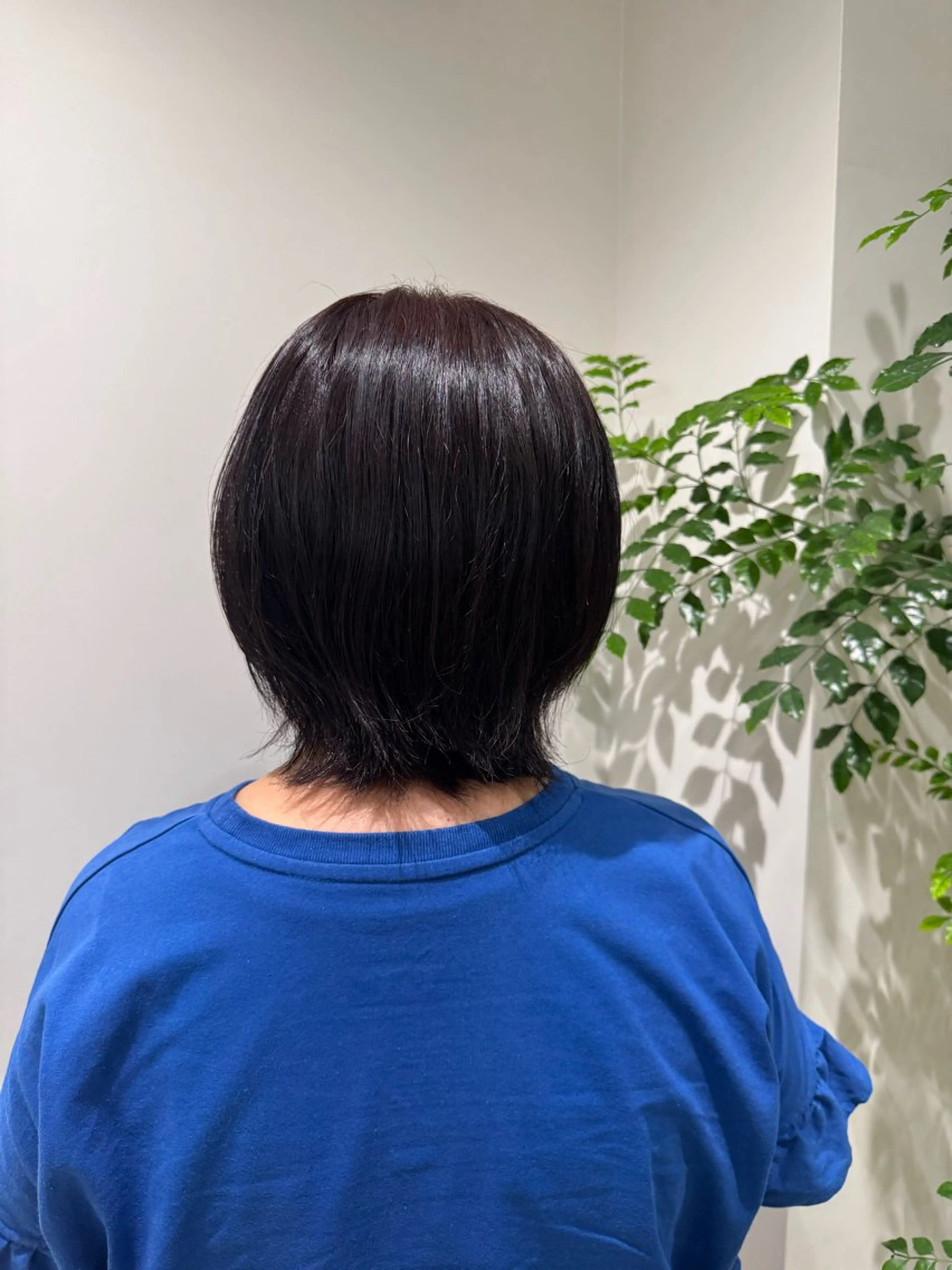 カラー かねこ くれはのヘアスタイル