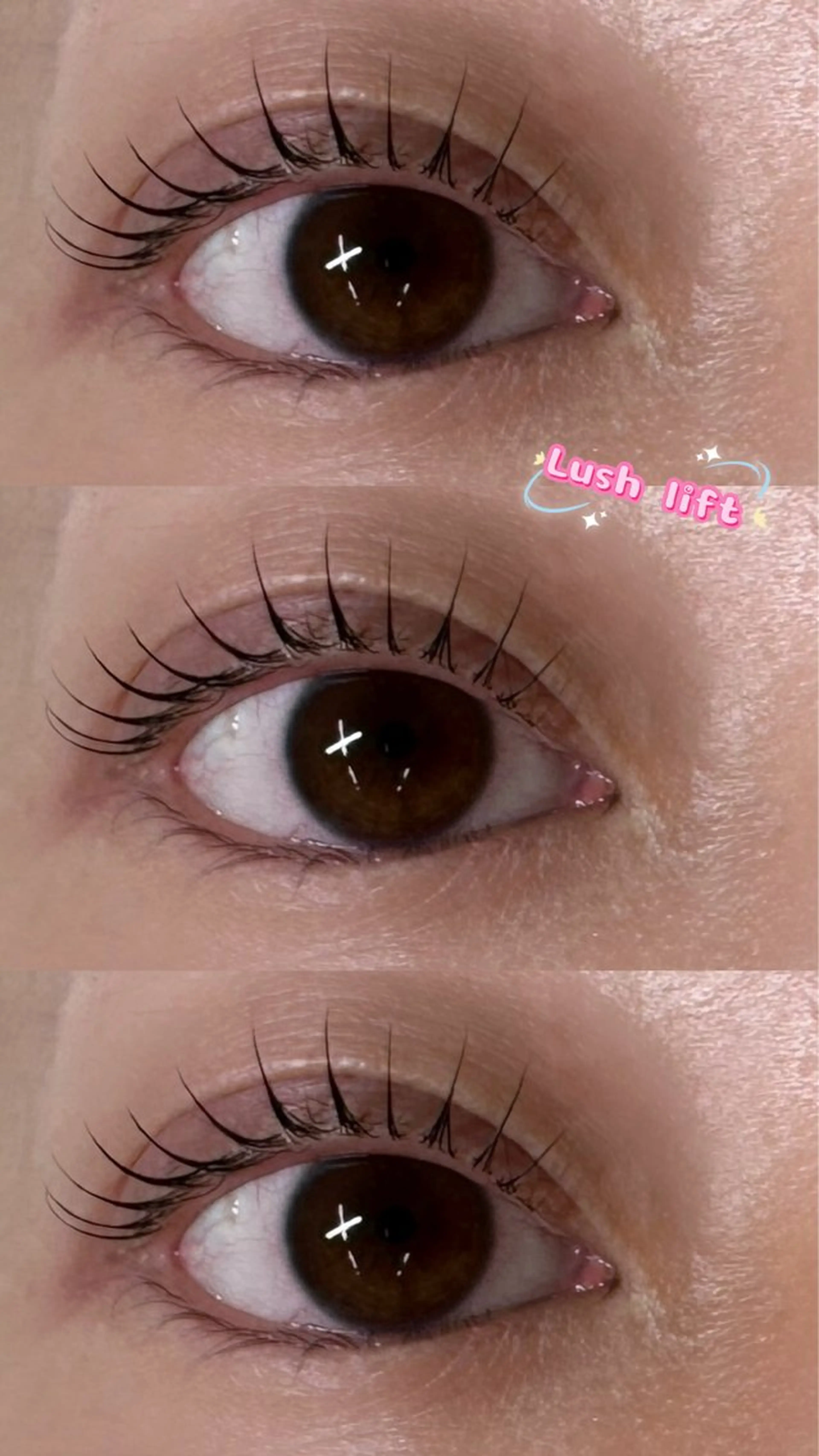 マツエク・マツパ eye mor.刈谷店所属・ユラ🐈‍⬛ eye mor.の眉毛・アイブロウイメージ