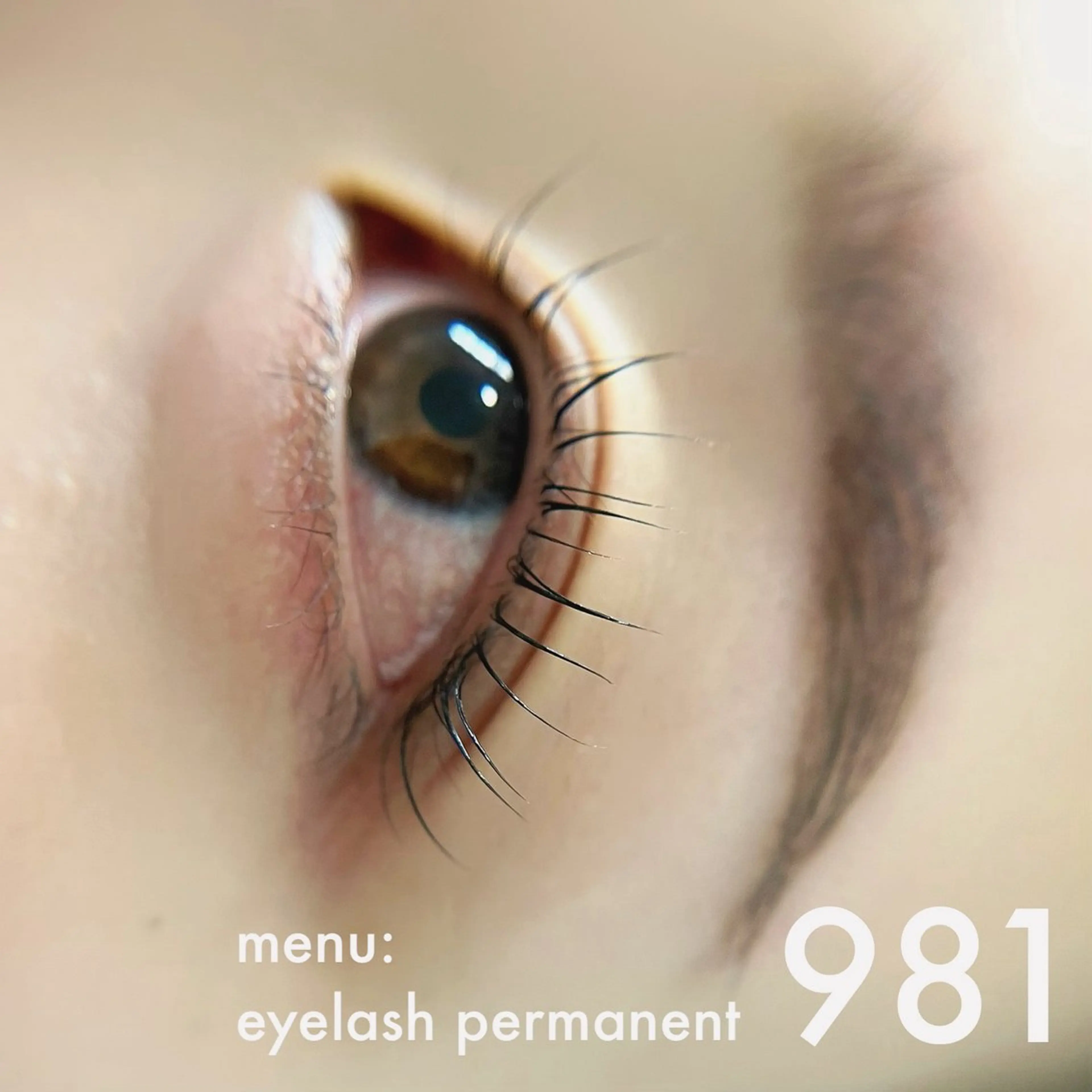 マツエク・マツパ 981所属・981 KURUMIのマツエク・マツパデザイン