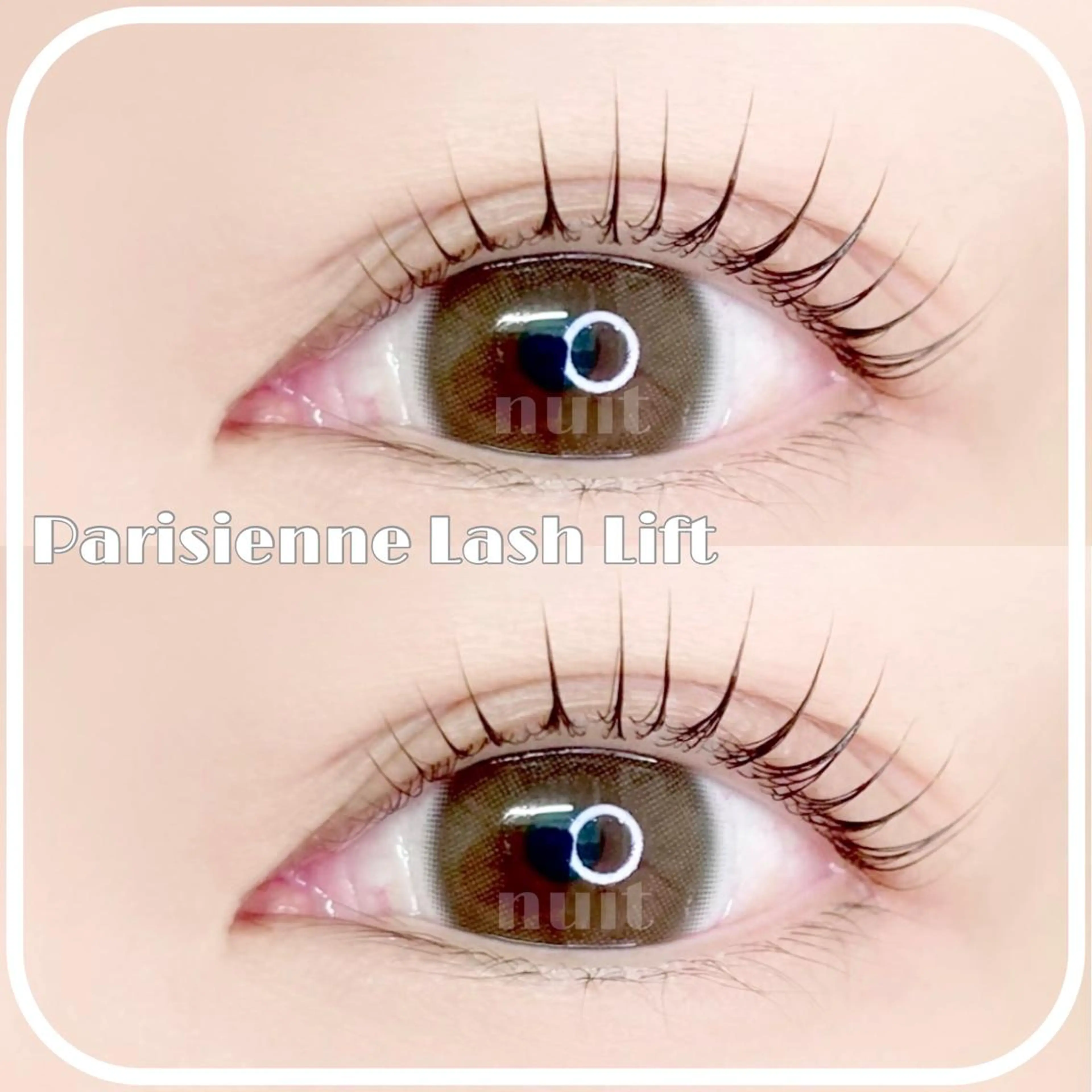 マツエク・マツパ パリジェンヌラッシュリフト マツパ eyelash  salon  nuit【ニュイ】所属・nuit 【ニュイ】 大宮 /　yucaのマツエク・マツパデザイン