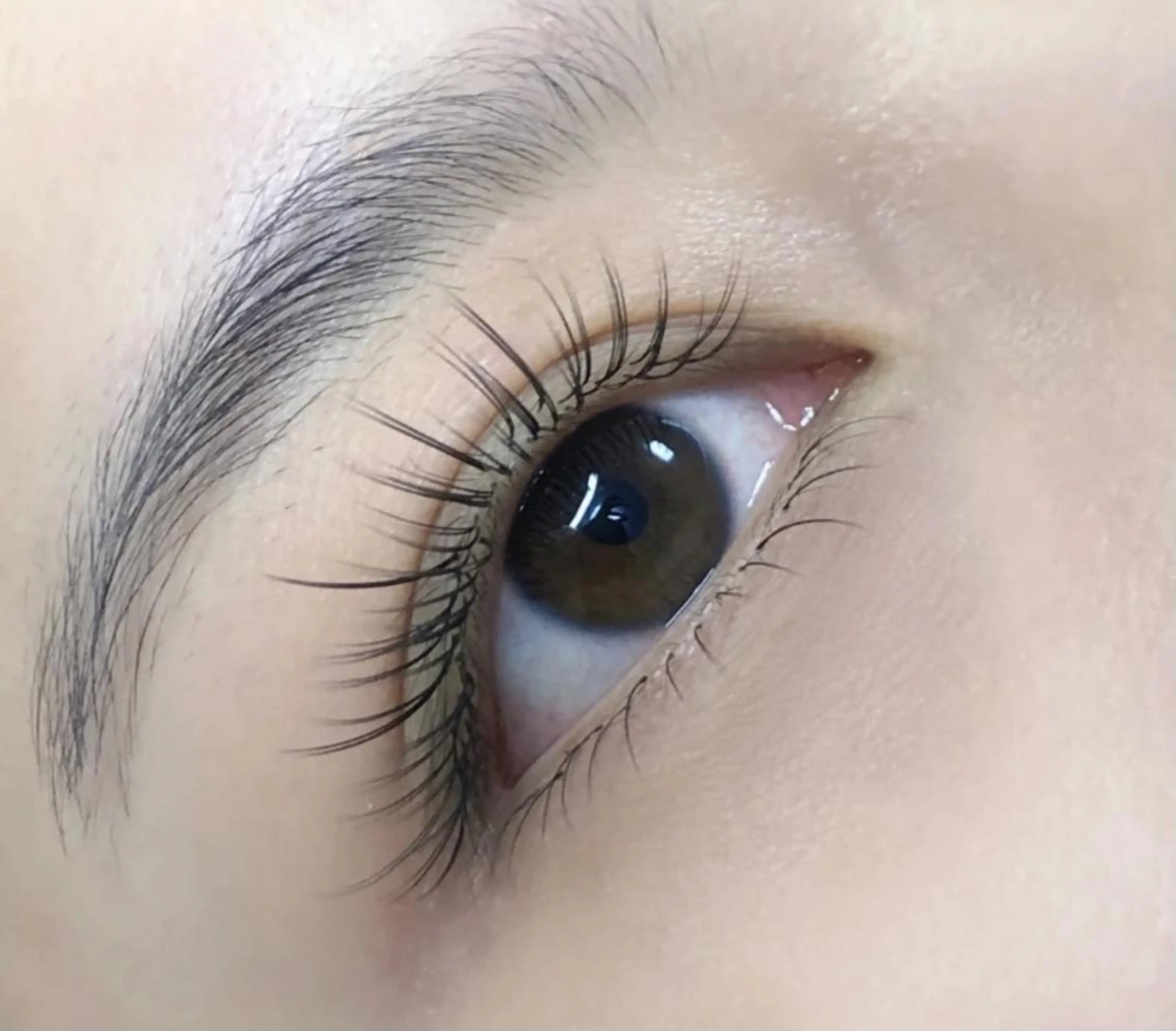 マツエク・マツパ Cute B e au t yのマツエク・マツパデザイン