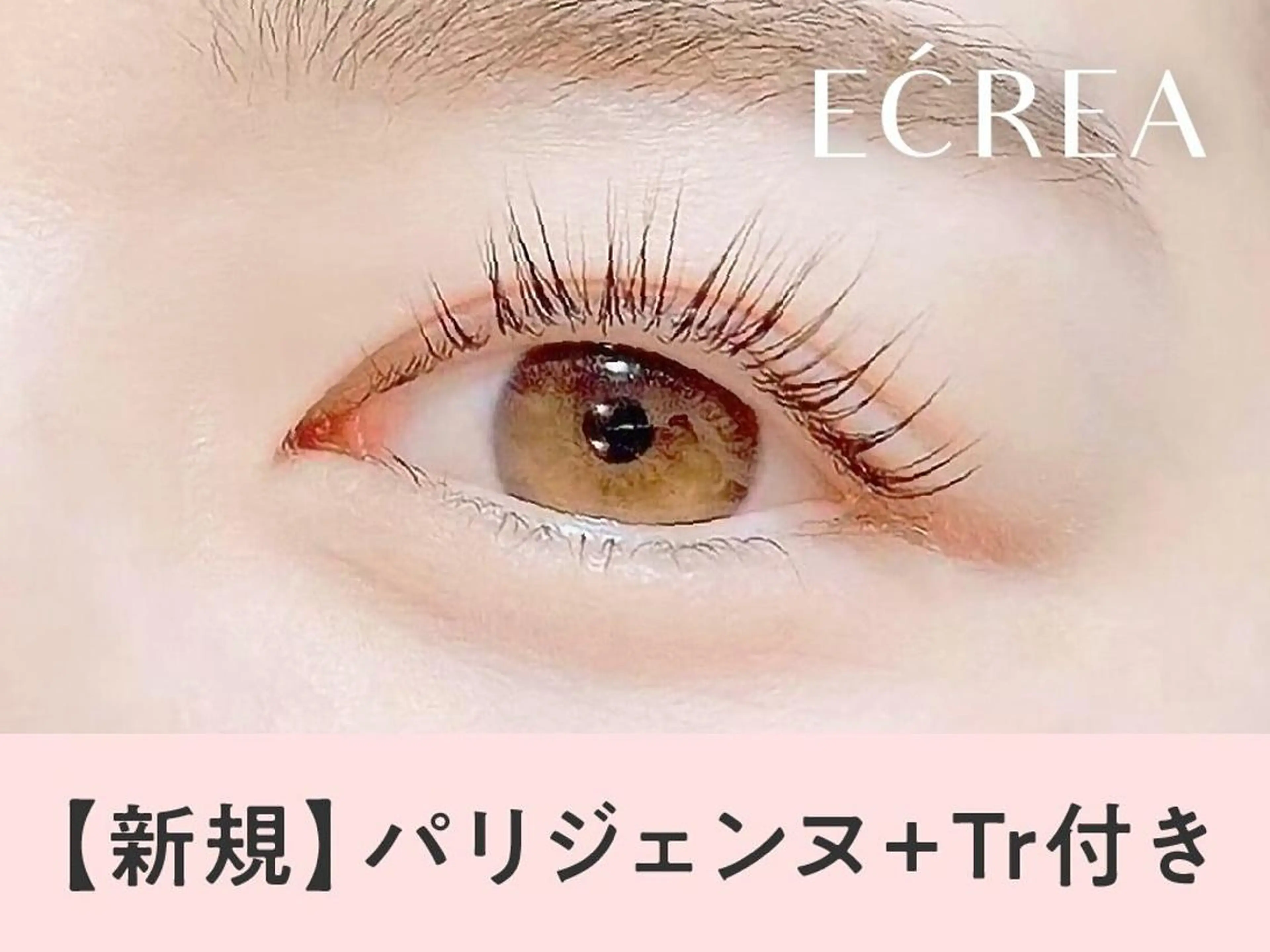 《新規》パリジェンヌラッシュリフト＋エグータムTr　【3850円】 [元町]の写真
