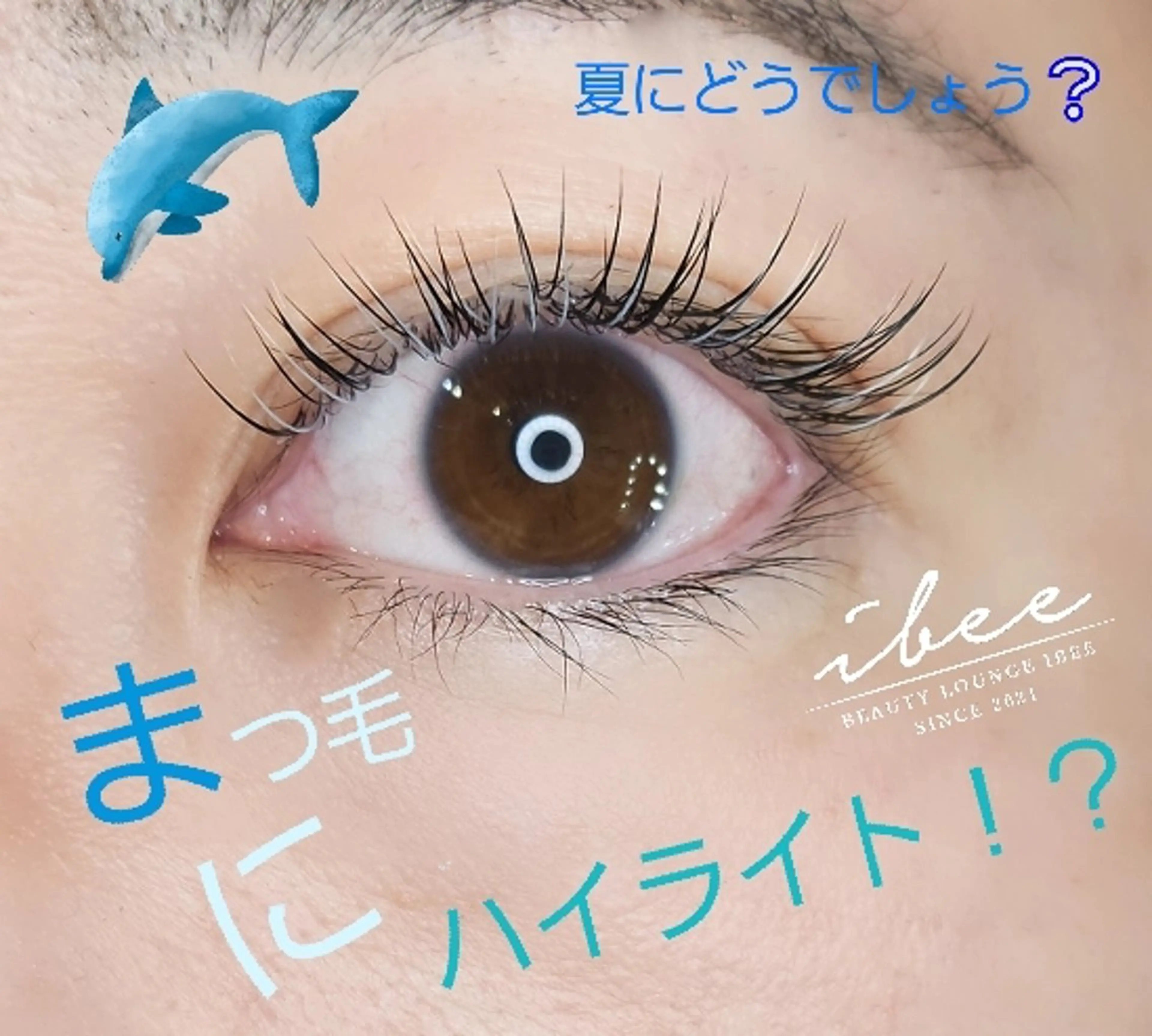 セーブル上100本★の写真