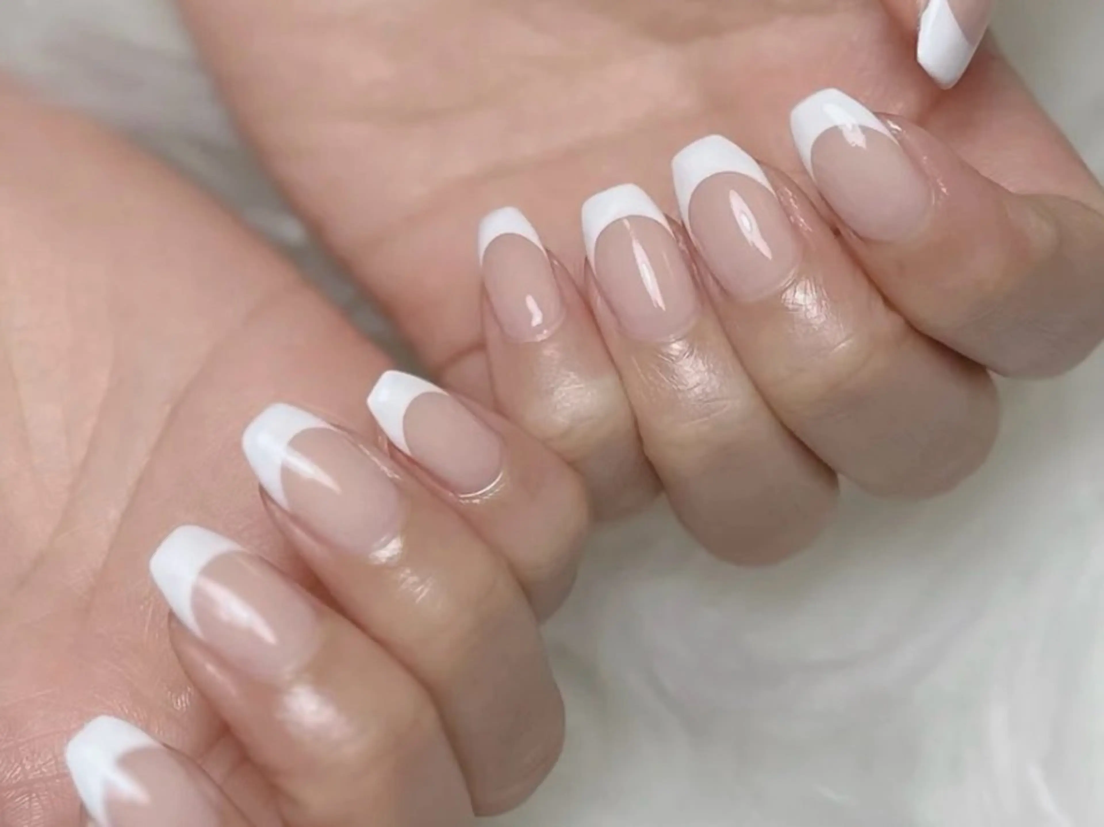 【期間限定】フレンチ(オフ込み)の写真