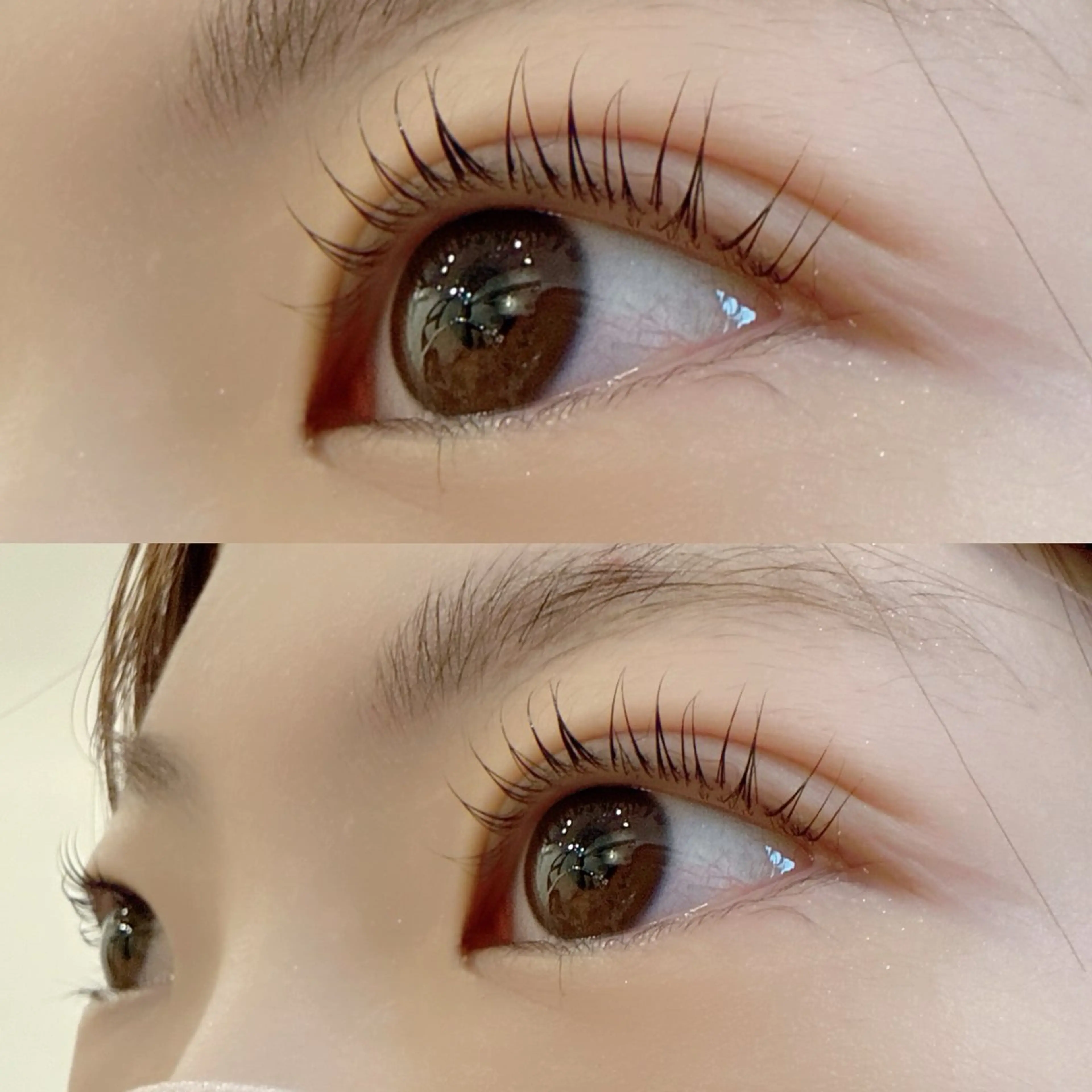 マツエク・マツパ 目元屋所属・【目元屋】 ayaka🐾のマツエク・マツパデザイン