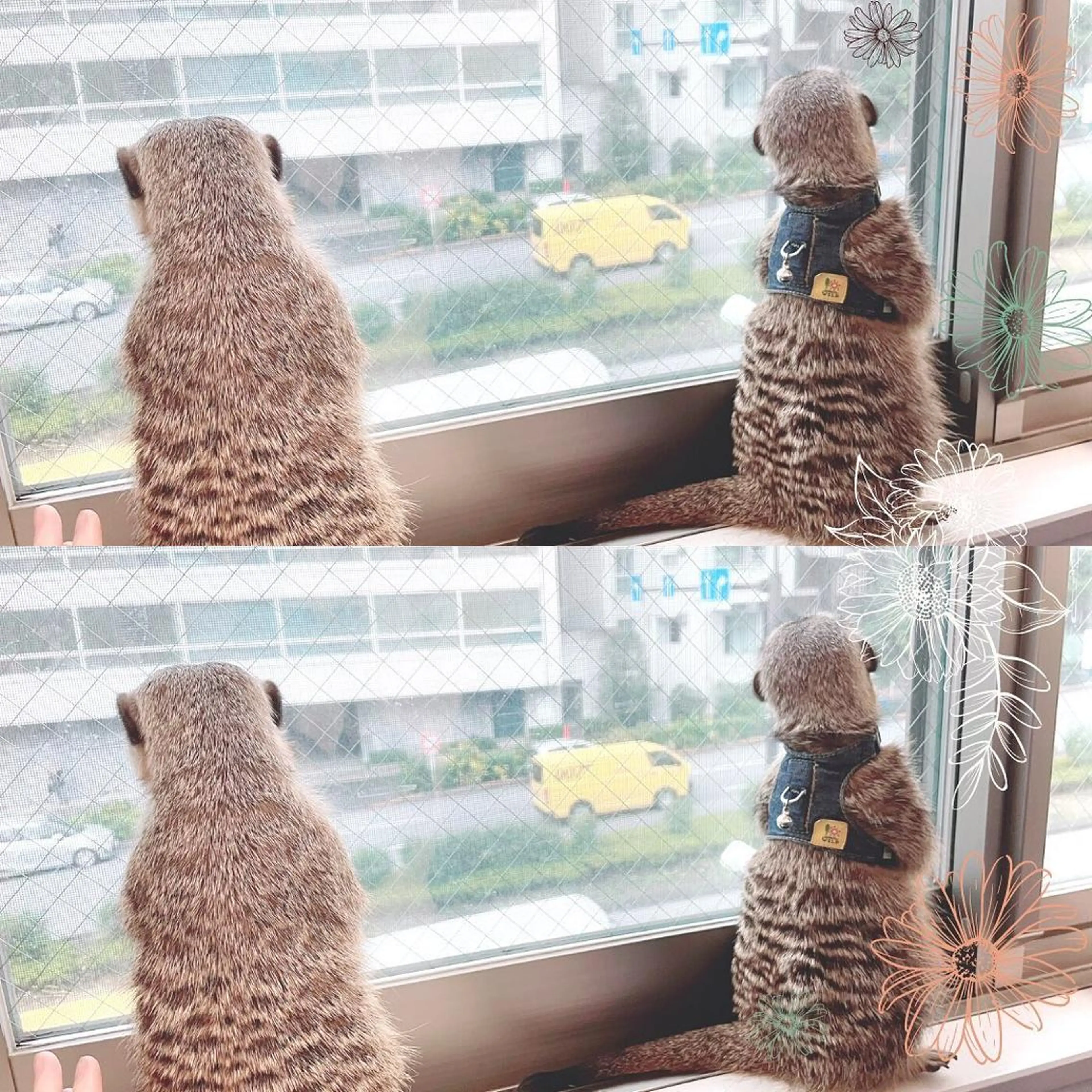 マツエク・マツパ パリジェンヌラッシュリフト まつげパーマ 下まつげエクステ 一重×まつ毛パーマ ボリュームラッシュ Mon mignonの眉毛・アイブロウイメージ