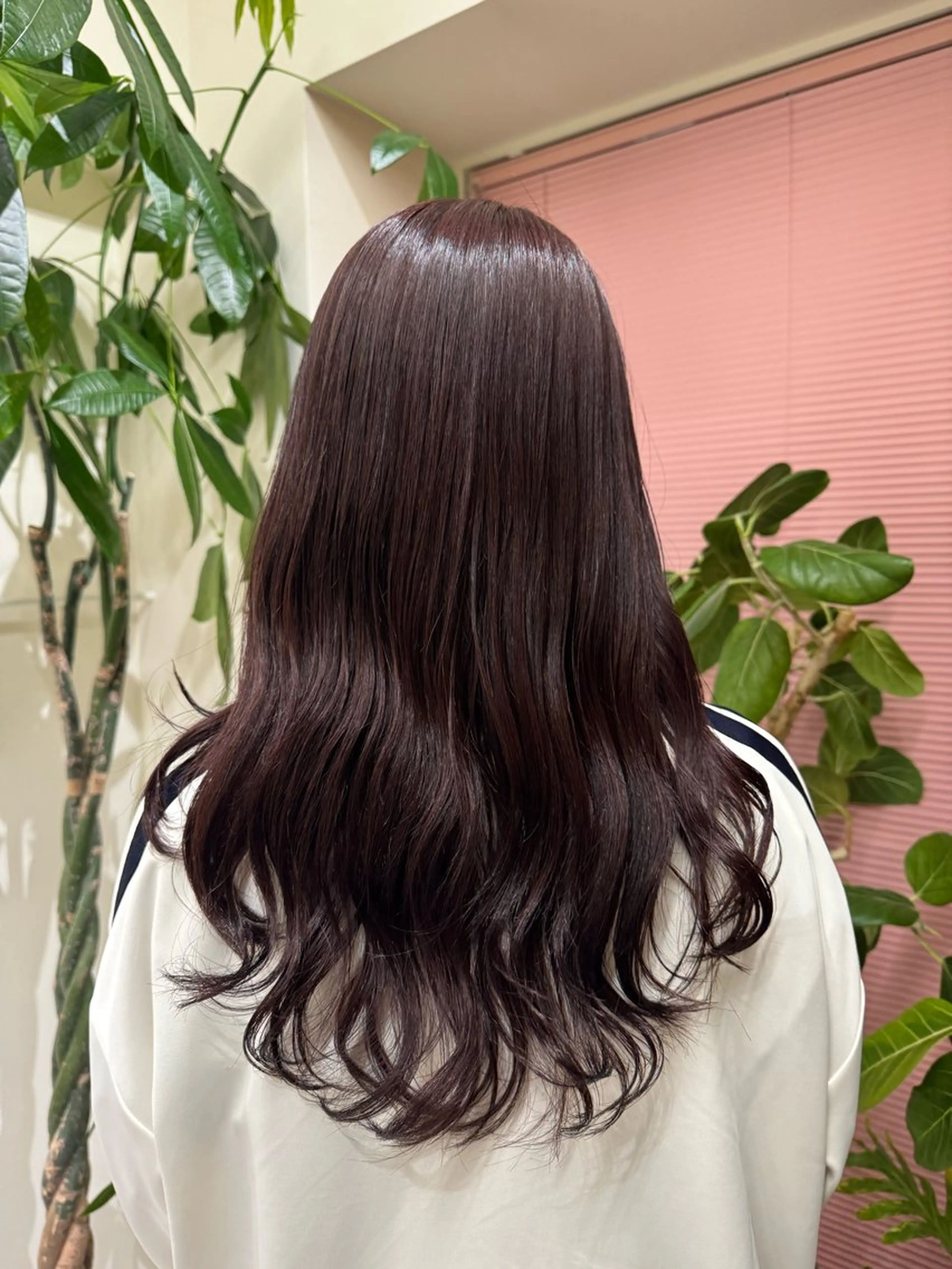 本日限定メニュー ワンカラー70%off✨️の写真