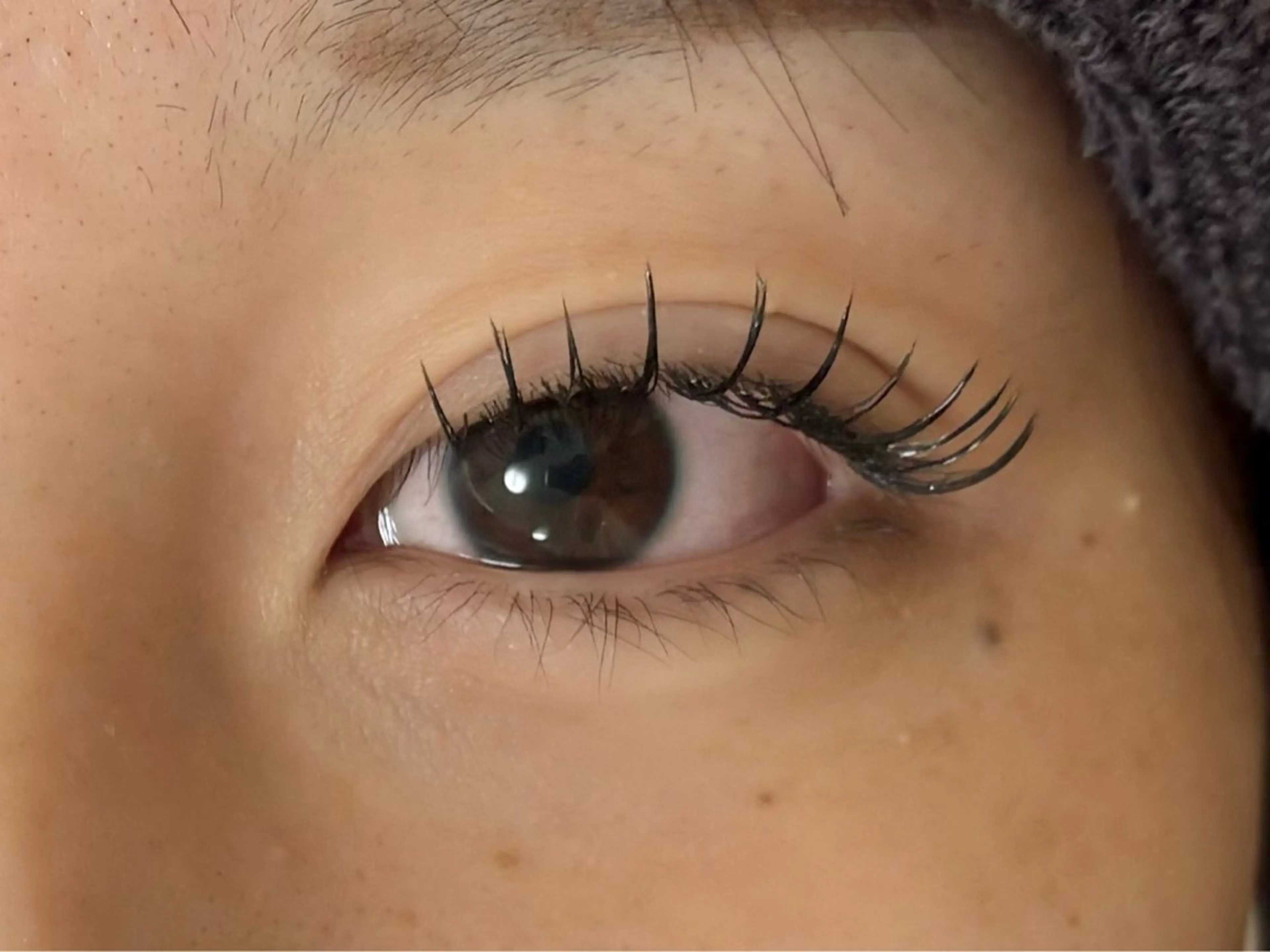 ［オフあり］フラットラッシュ80本の写真