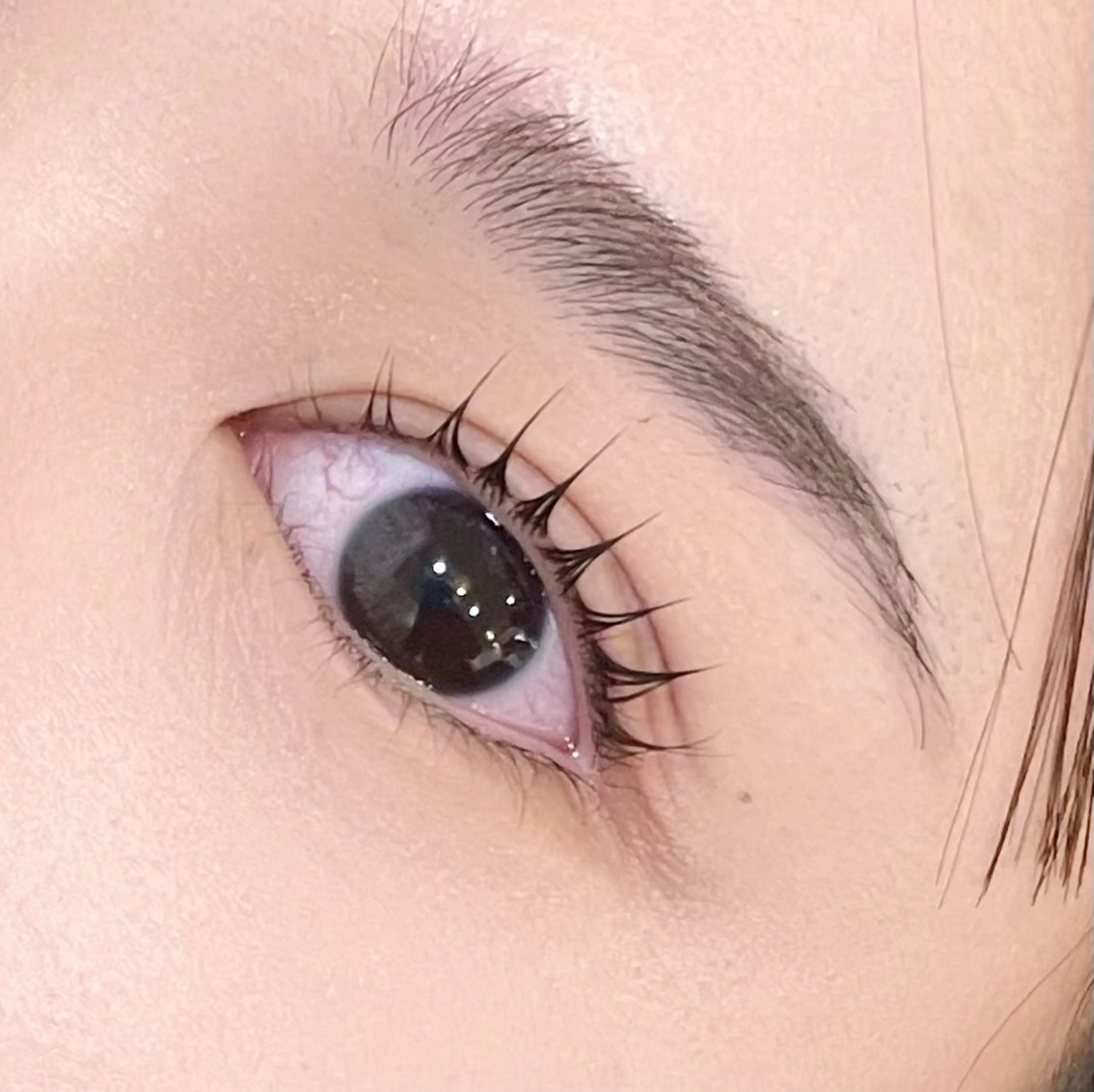 マツエク・マツパ パリジェンヌラッシュリフト EYELA(アイラ)柏店所属・👑EYELA 柏／ 川村👑のマツエク・マツパデザイン