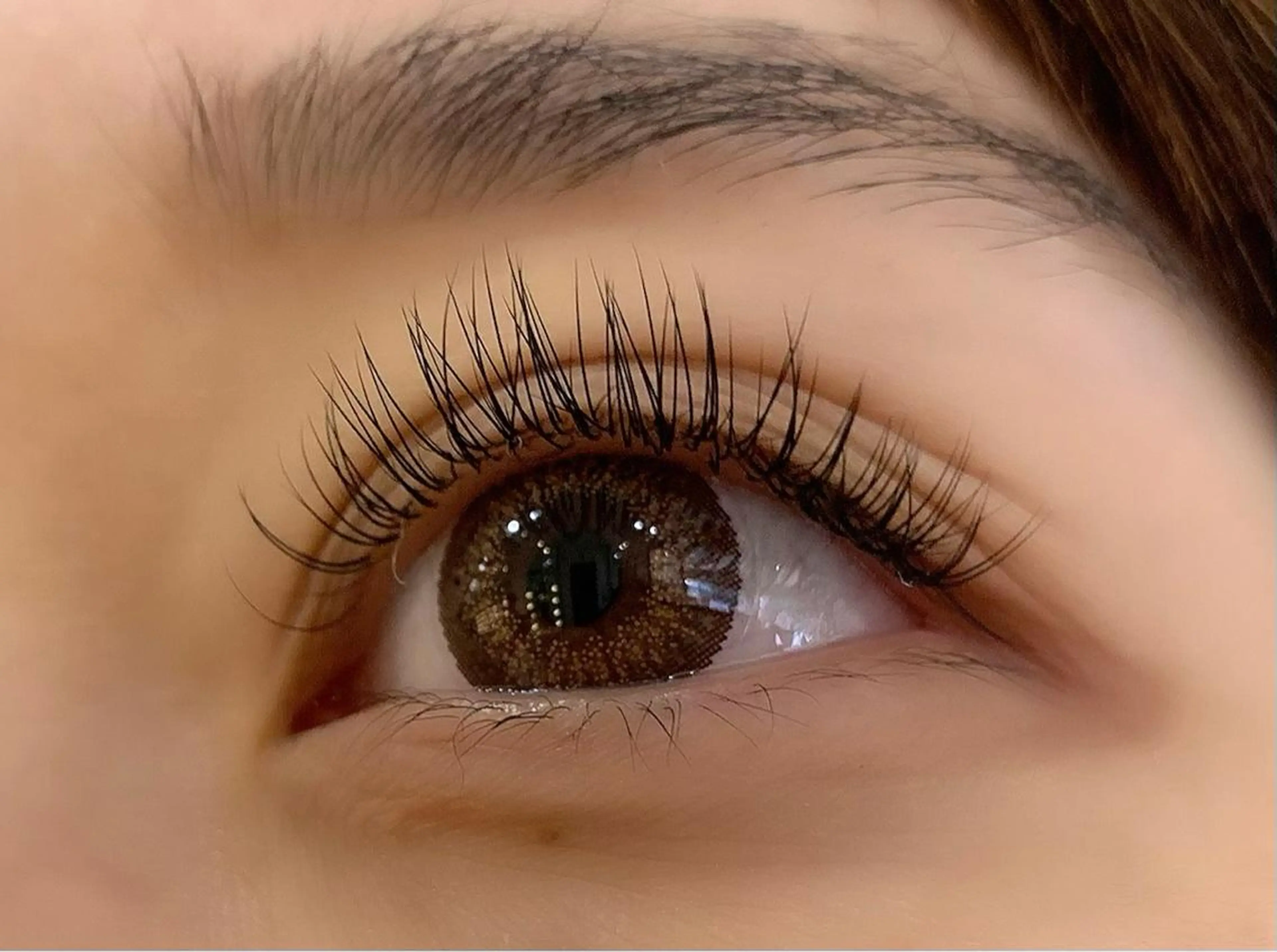 マツエク・マツパ セーブル Celeste Venus所属・🧸Celeste Venusのマツエク・マツパデザイン