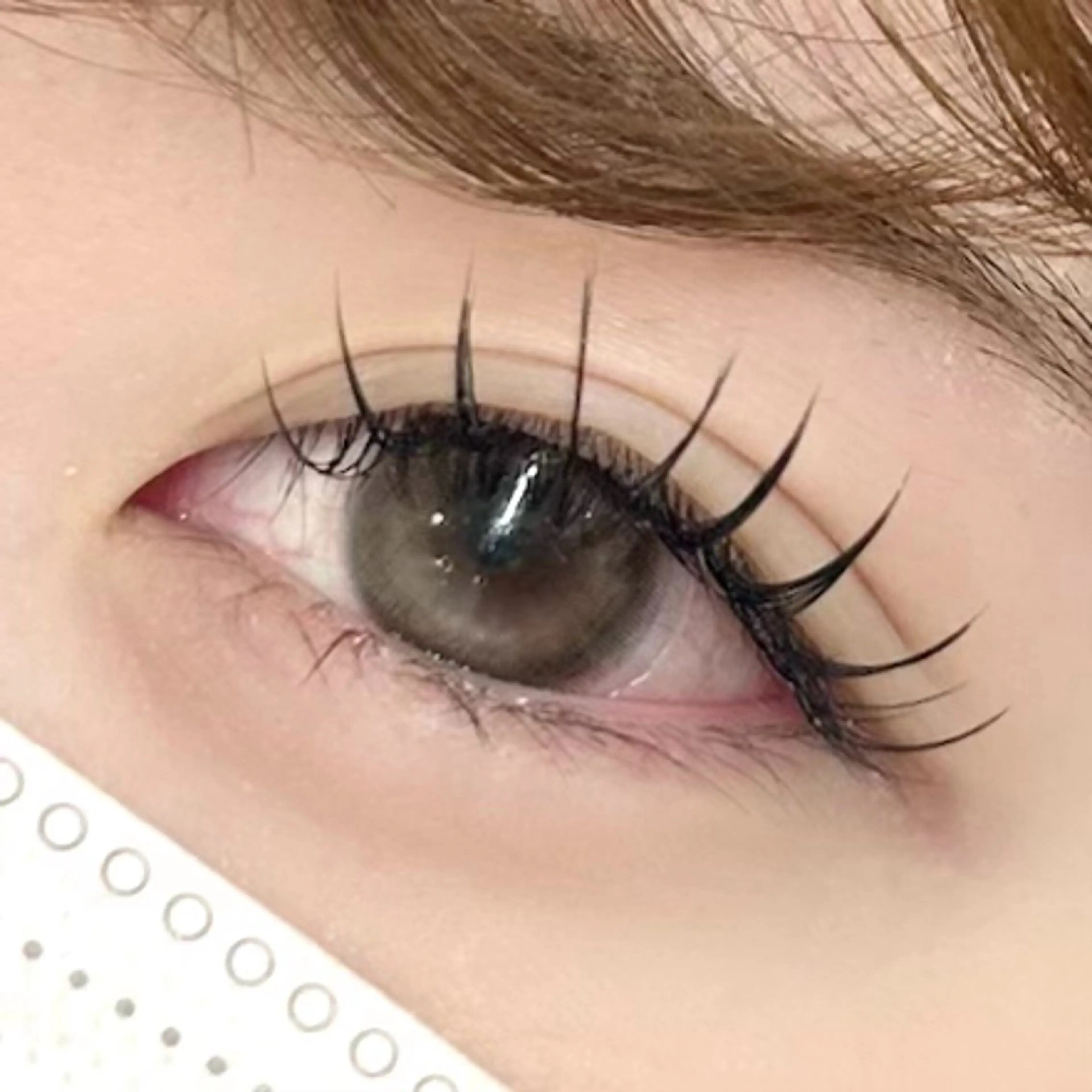 フラットラッシュ80本の写真