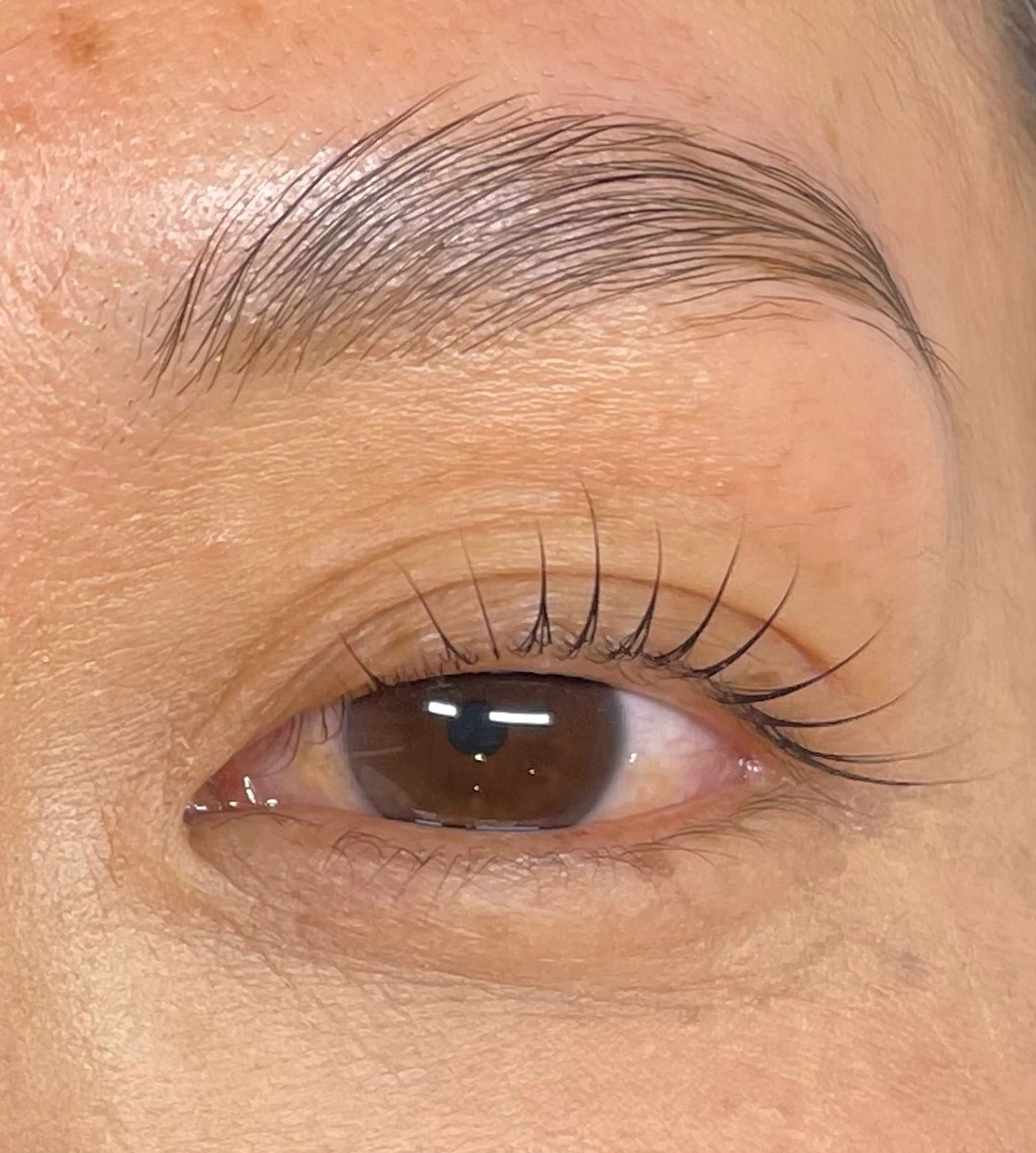 マツエク・マツパ eyelash salon　teraのマツエク・マツパデザイン
