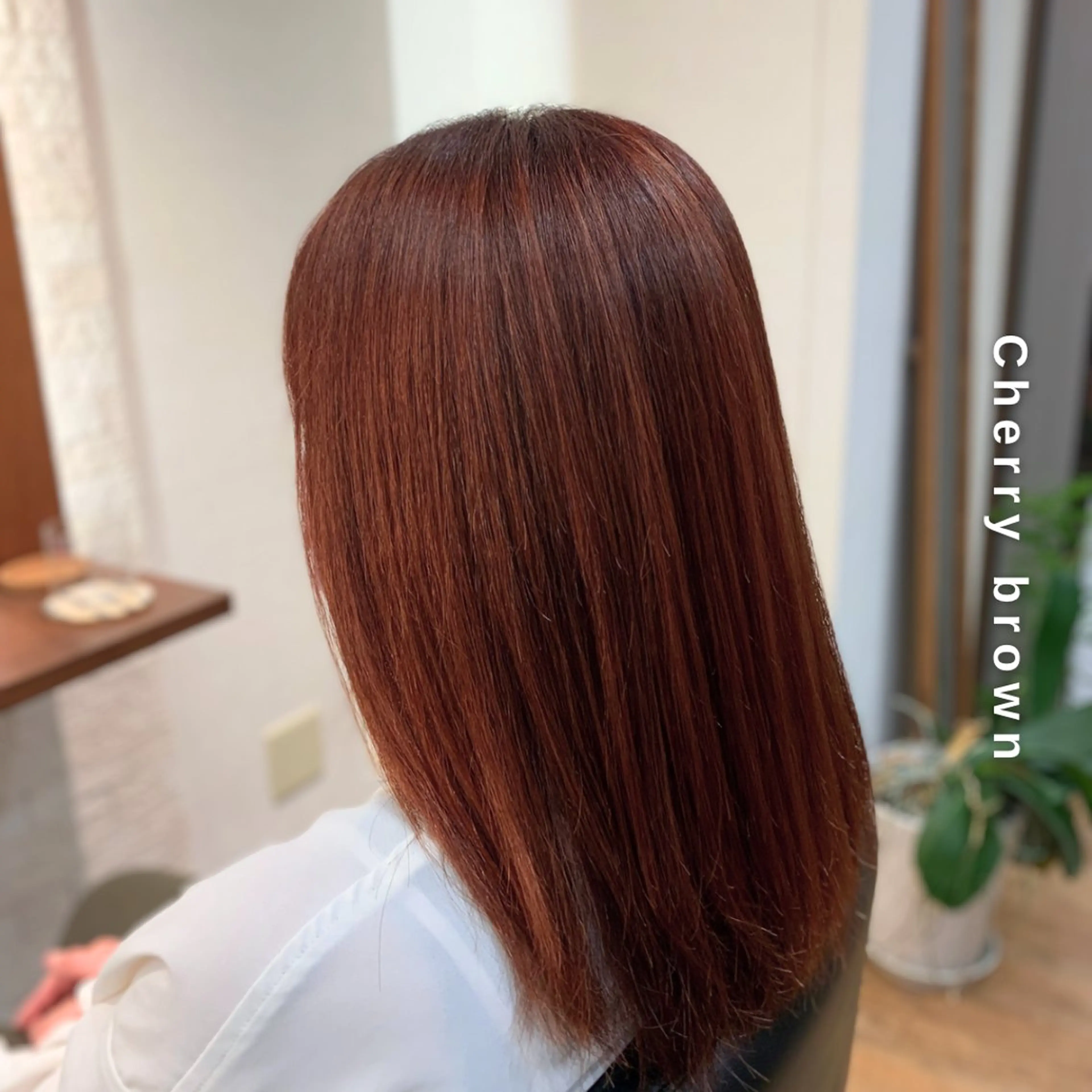 ロング カラー ブラウンカラー レッドカラー ヘアカラー トリートメント ヘアセット Hair&Make newer所属・しんのすけ /カラーモデル募集のヘアスタイル