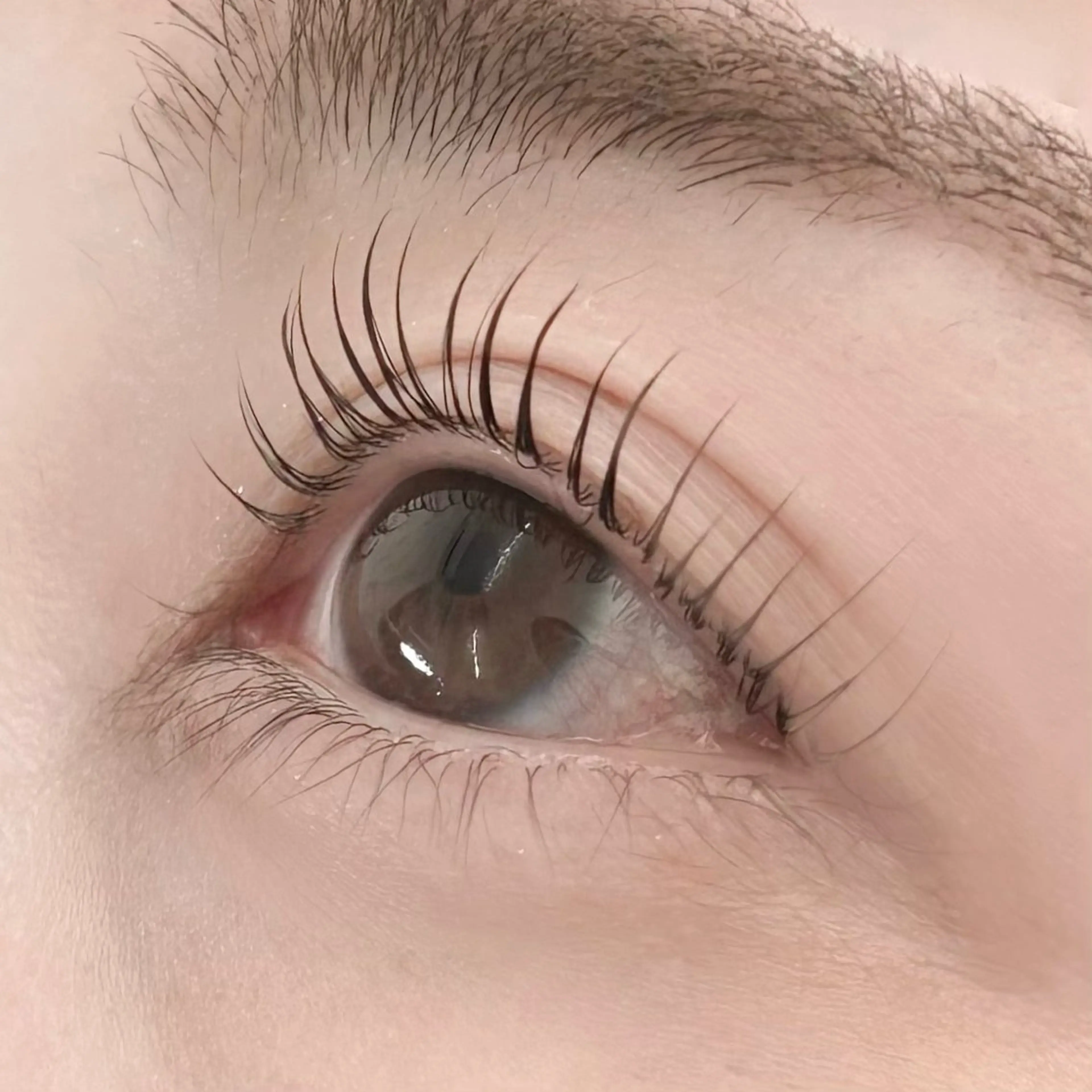 マツエク・マツパ マツパ LuLu / まつパ 🥀akaneのマツエク・マツパデザイン