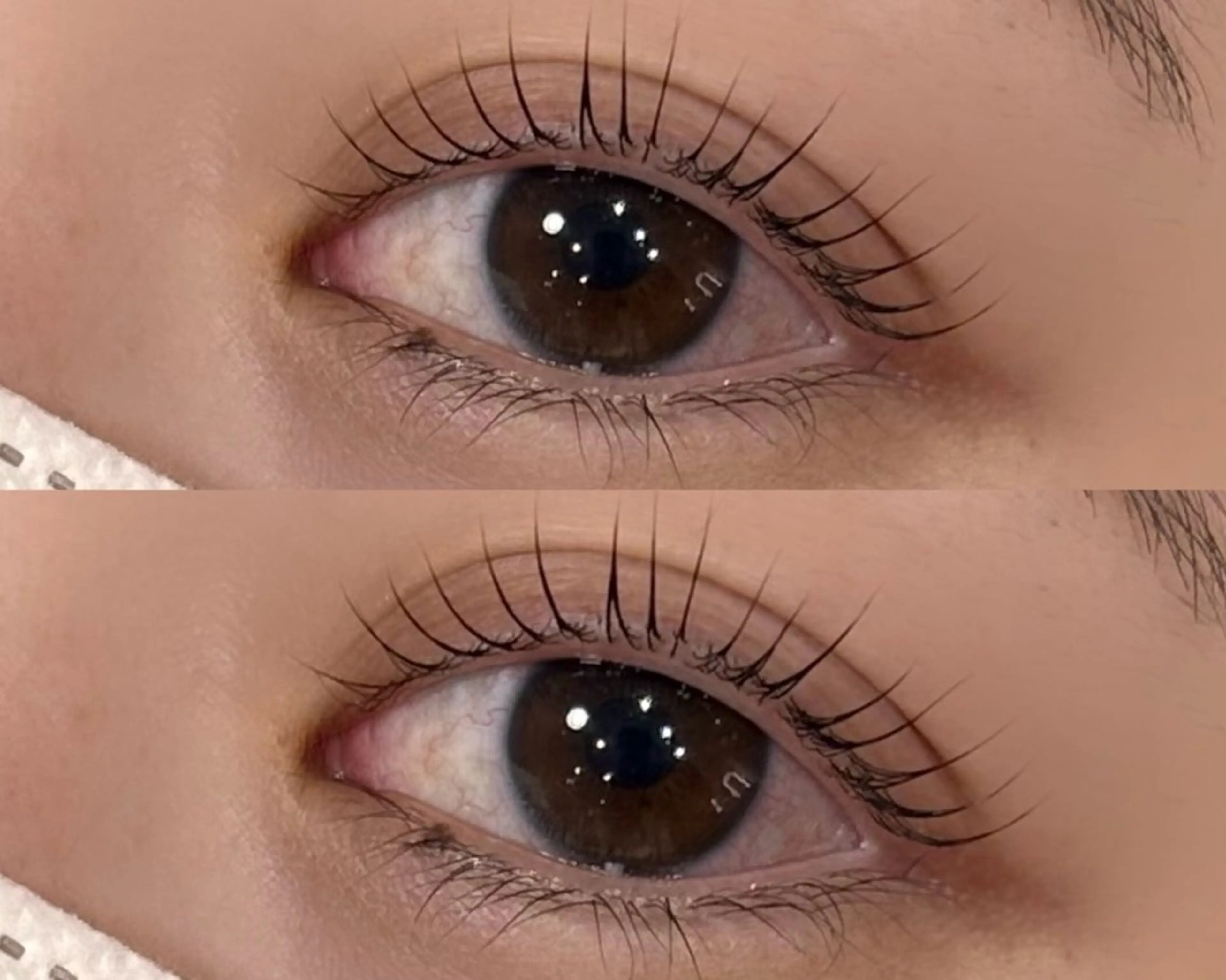 マツエク・マツパ ケラチンラッシュリフト マツパ eyelist ERINA〜.。🧸のマツエク・マツパデザイン