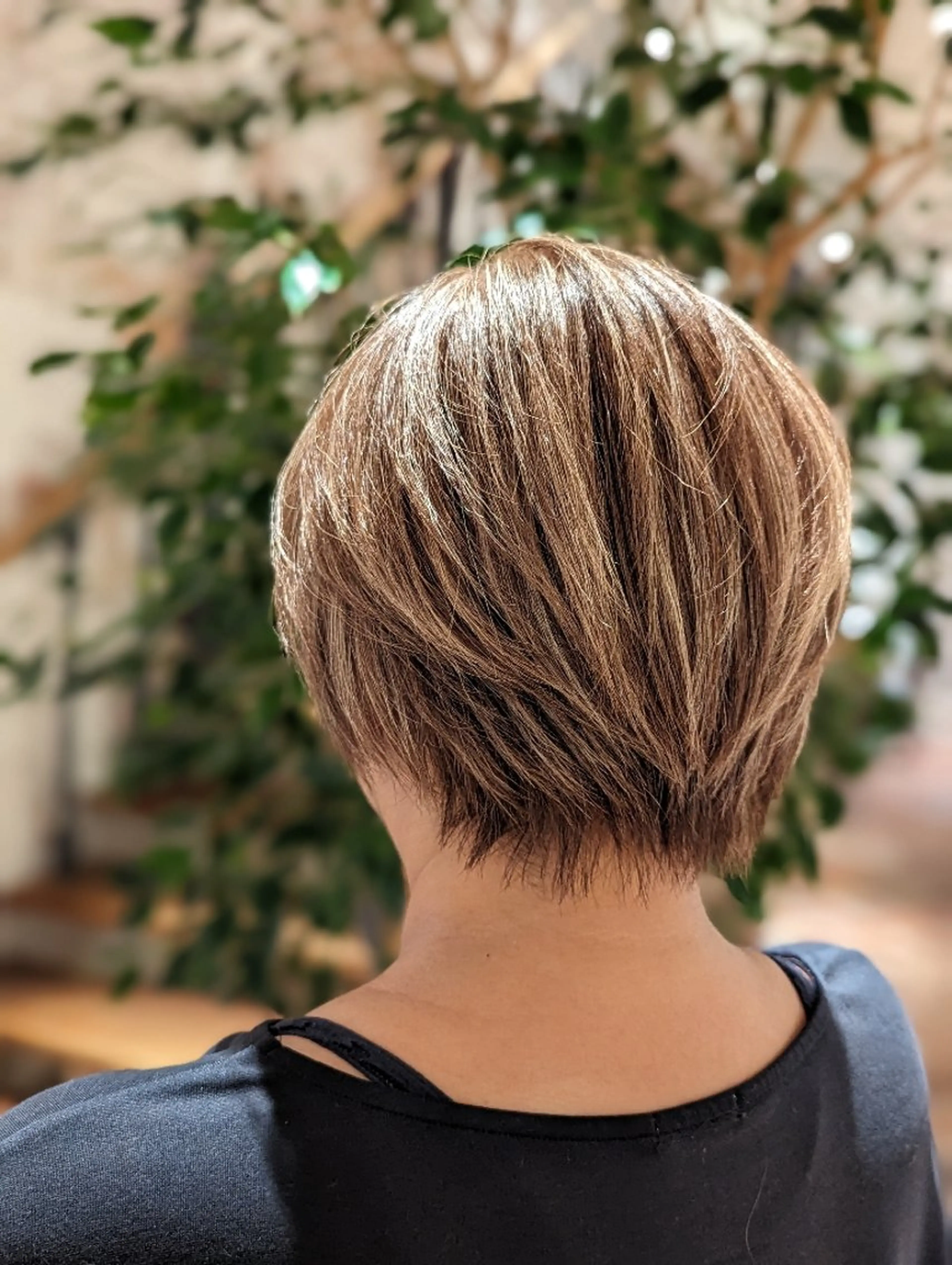 カラー ハイライトカラー WARREN・TRICOMI NEW YORK 表参道店所属・浅比 惇平のヘアスタイル