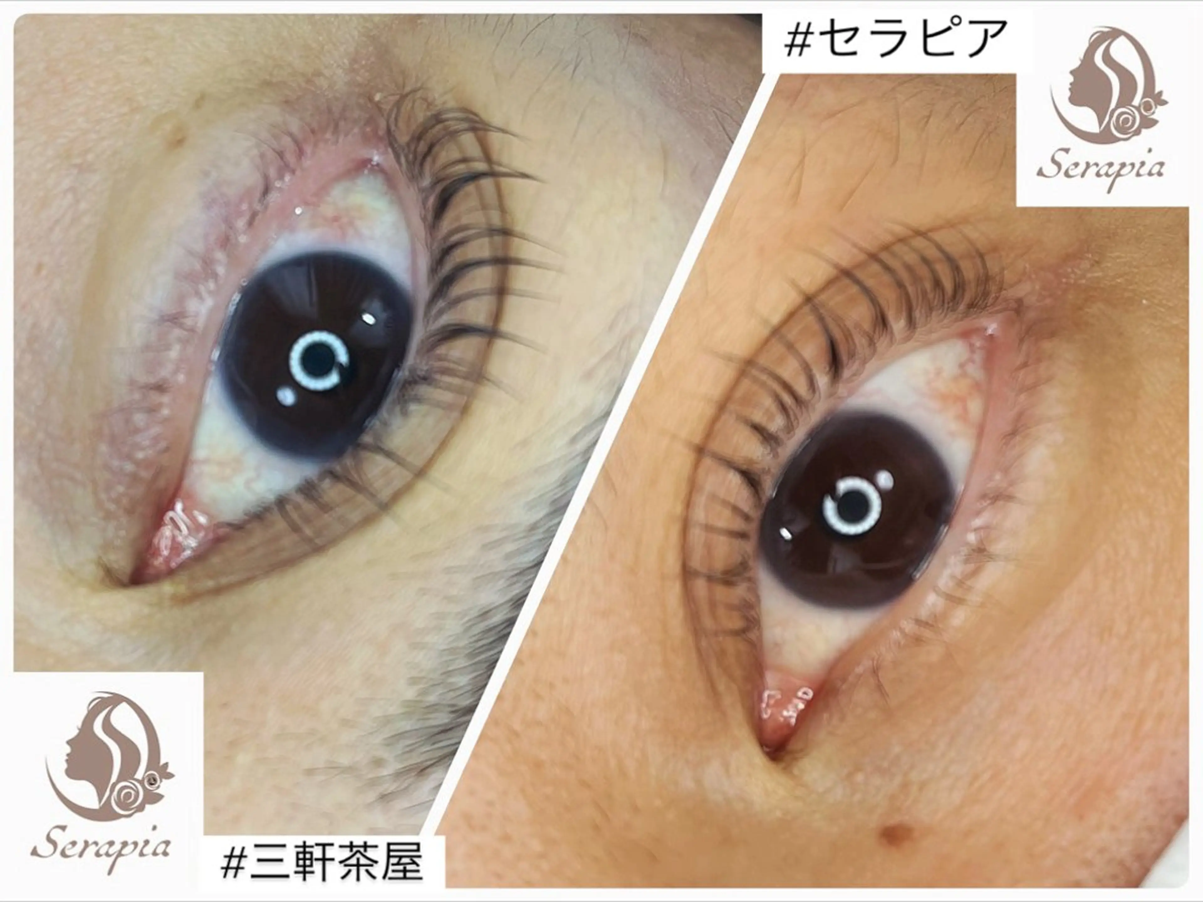 マツエク・マツパ Serapia 【セラピア】のマツエク・マツパデザイン