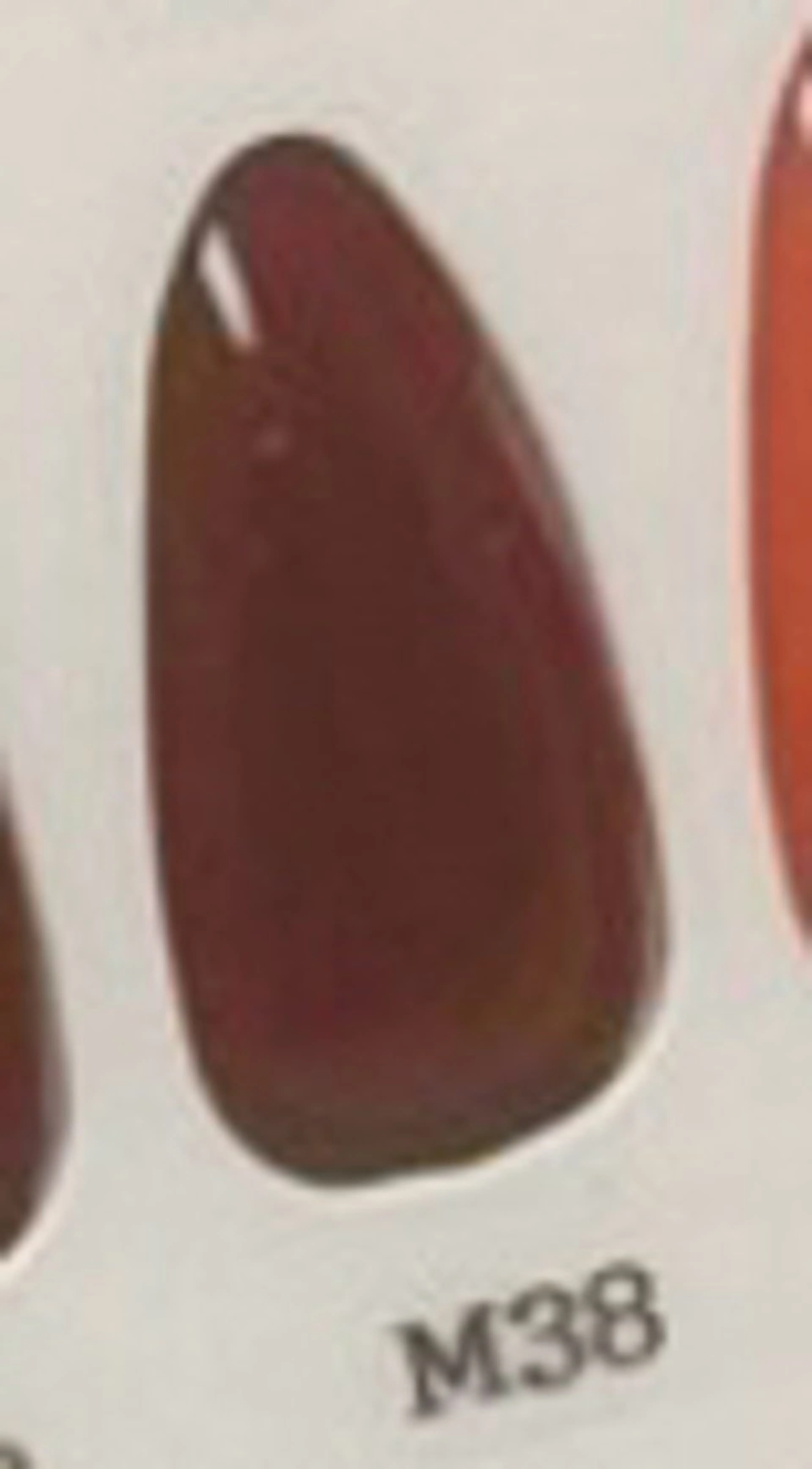 ネイル エルバイノリコ 岩下パラジェル取扱店のネイルデザイン