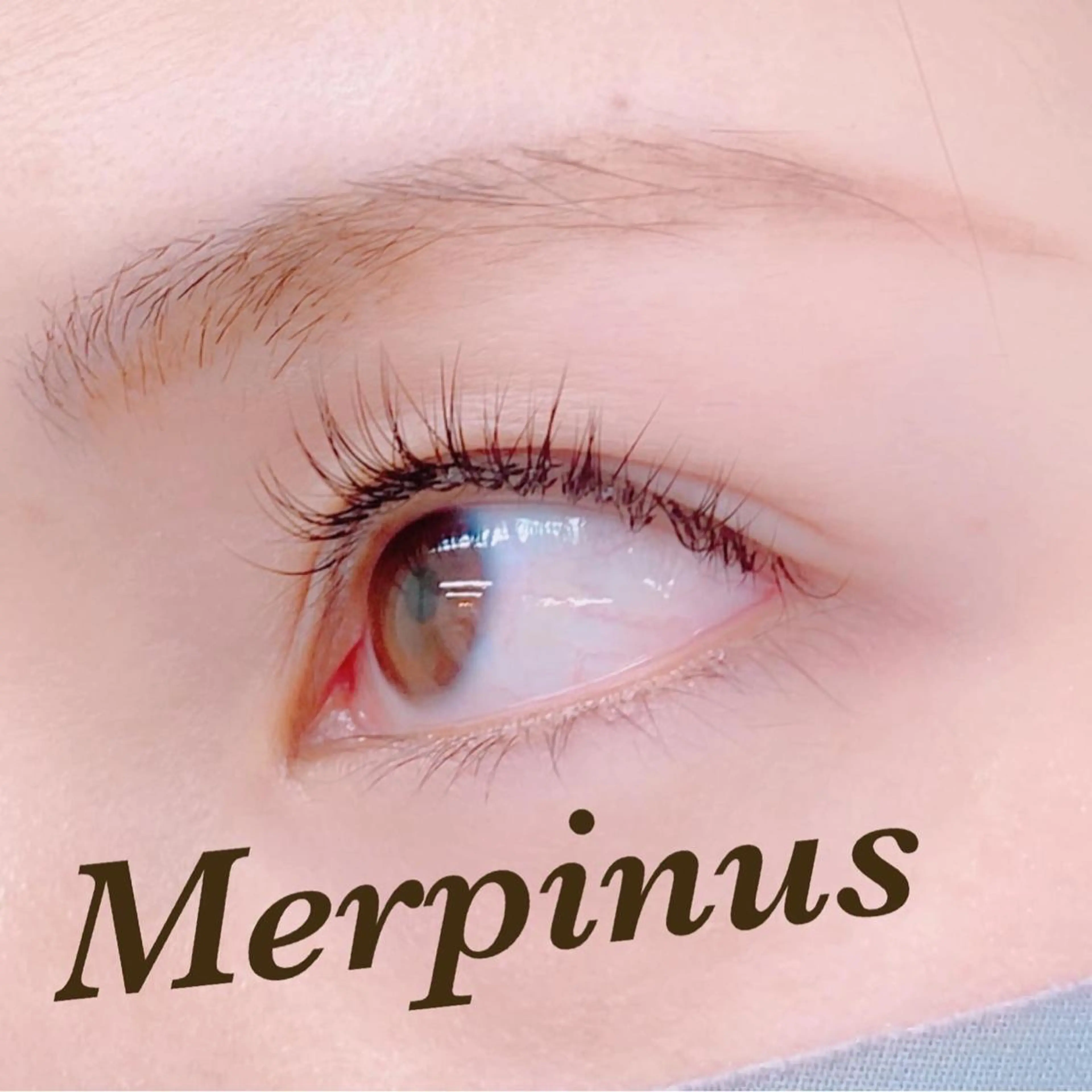 マツエク・マツパ セーブル Eyelash salon kukuna所属・まつ毛サロン Kukunaのマツエク・マツパデザイン