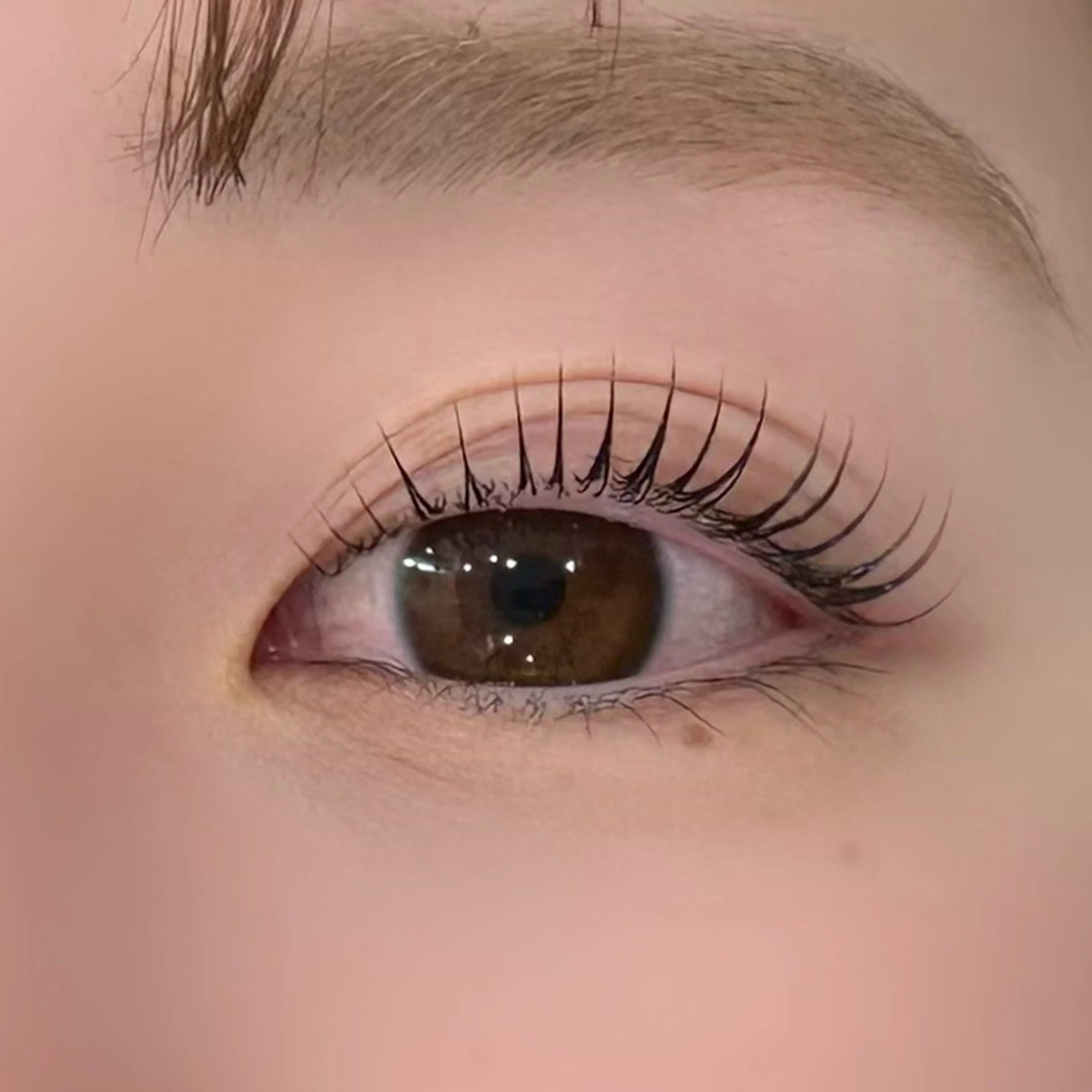 マツエク・マツパ Cカール Lカール パリジェンヌラッシュリフト 一重×まつ毛パーマ マツパ eyelash Zen　manakaのマツエク・マツパデザイン