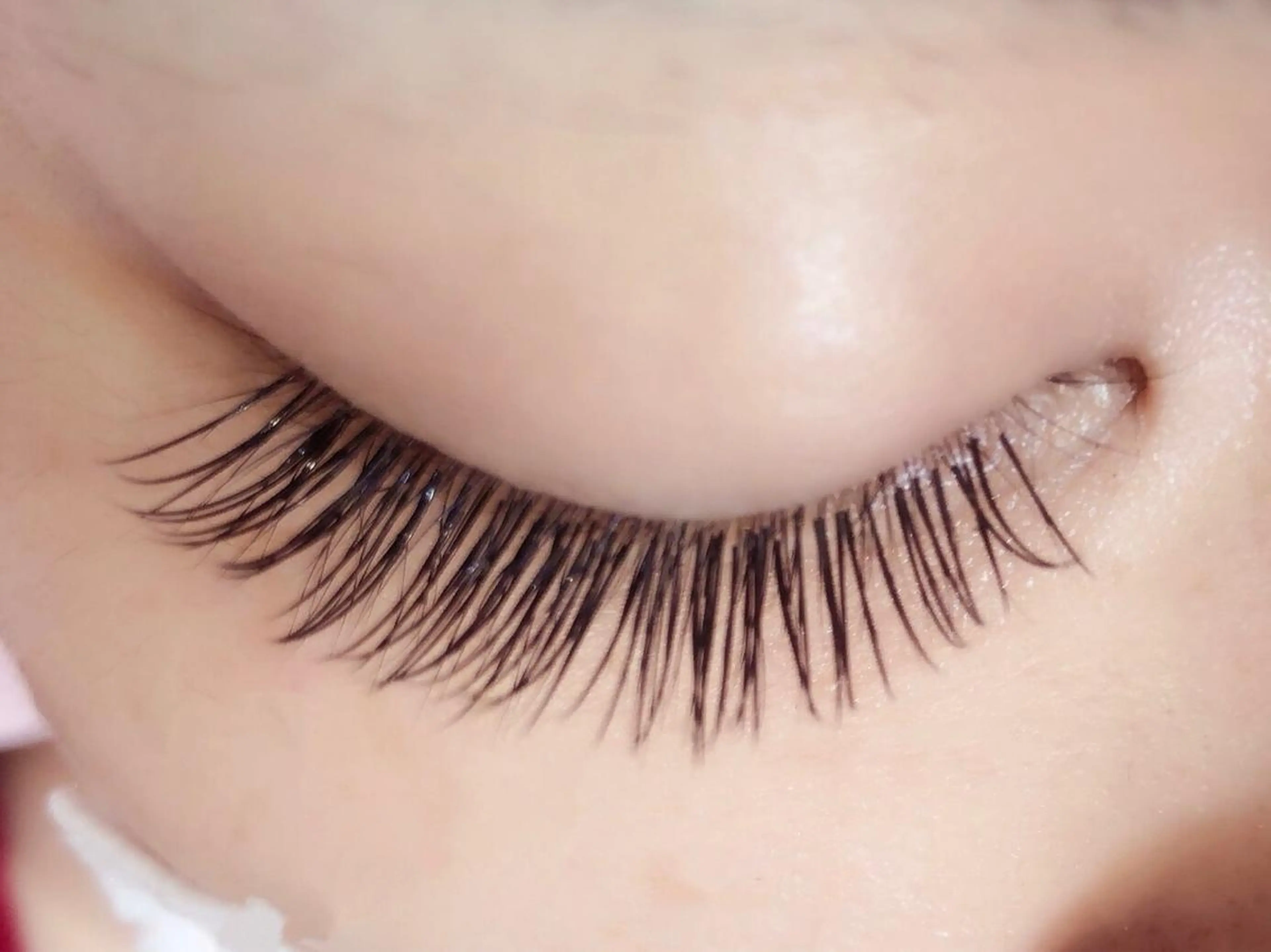 マツエク・マツパ Cカール キュート ミンク petitchou eyelashのマツエク・マツパデザイン