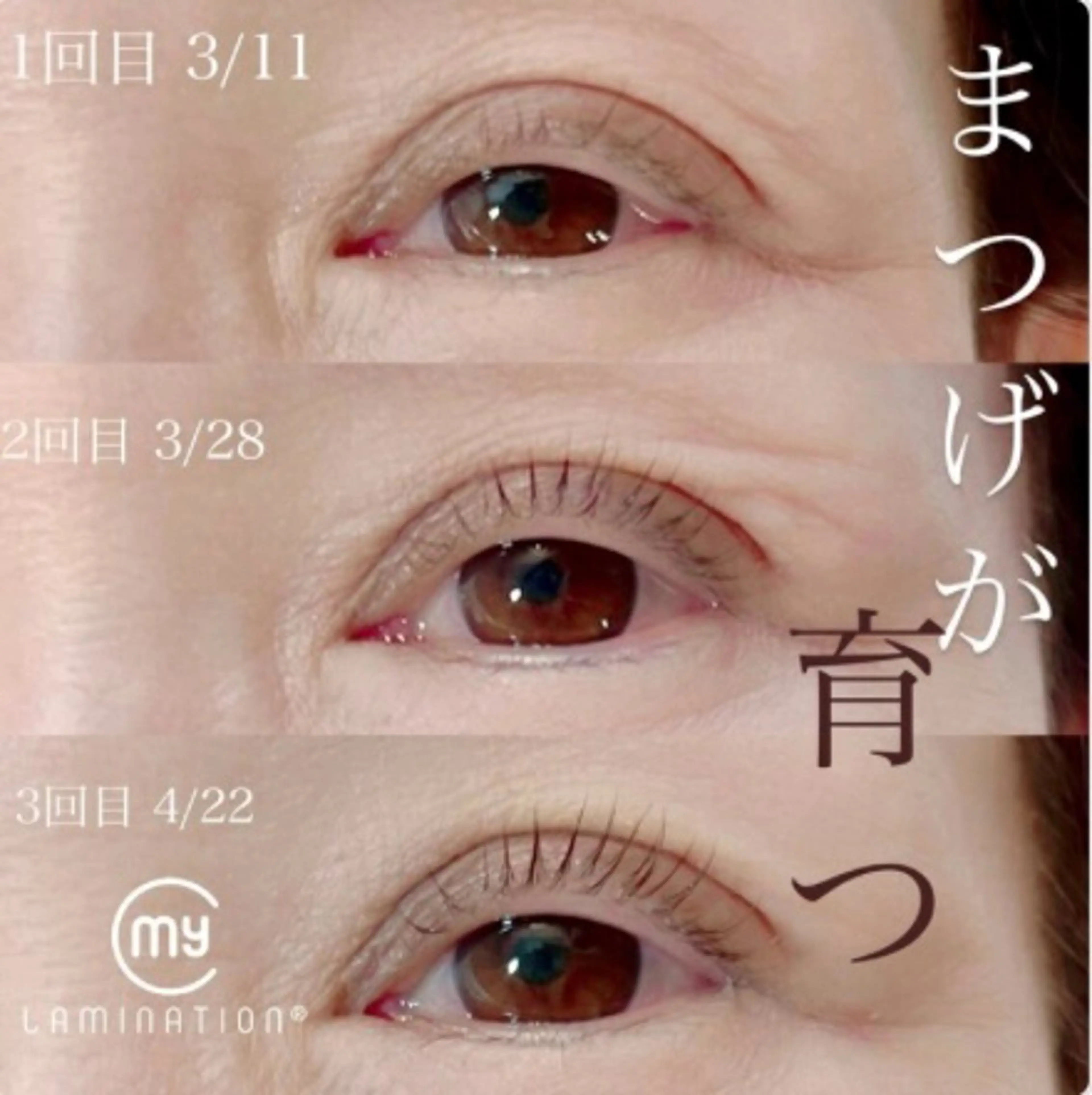 マツエク・マツパ マツパ share salon elle所属・Maeda 🌸のマツエク・マツパデザイン