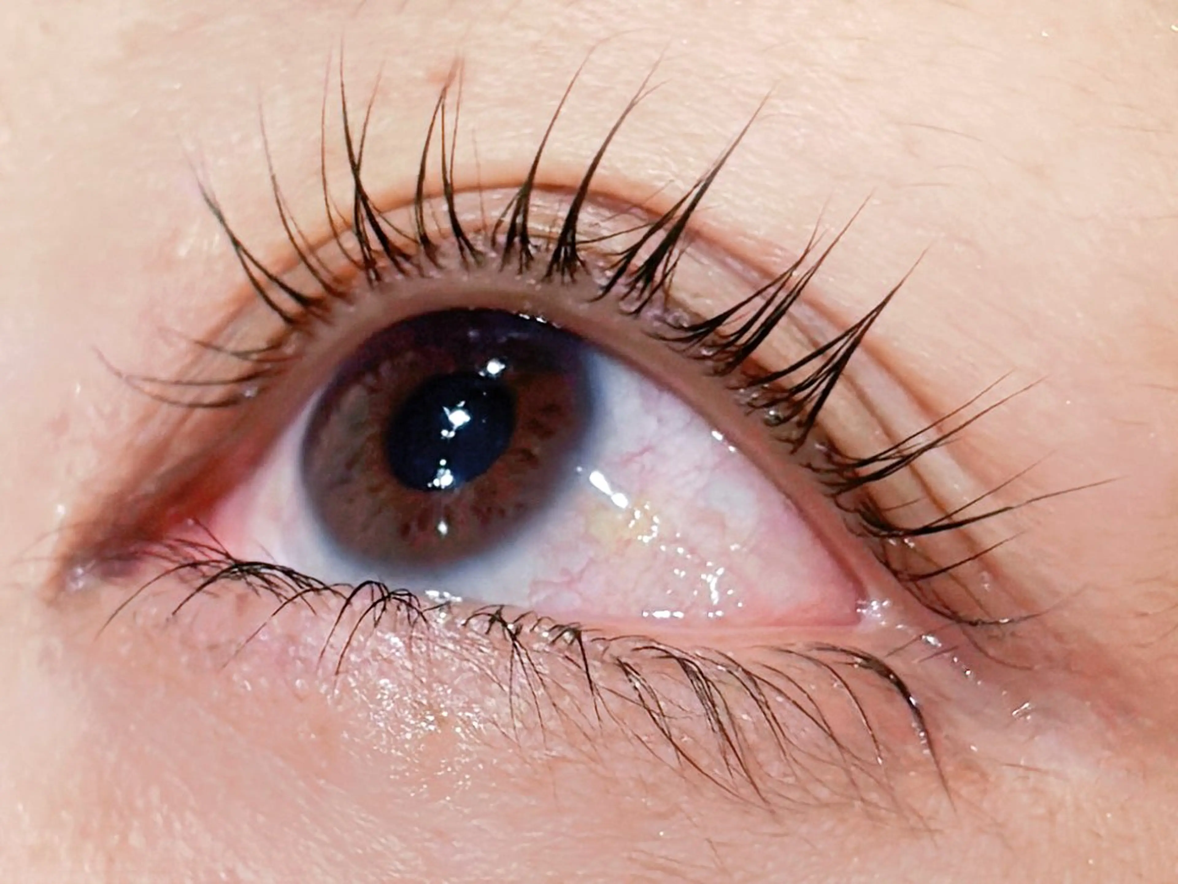 マツエク・マツパ パリジェンヌラッシュリフト Embellir所属・明才地 七菜のマツエク・マツパデザイン